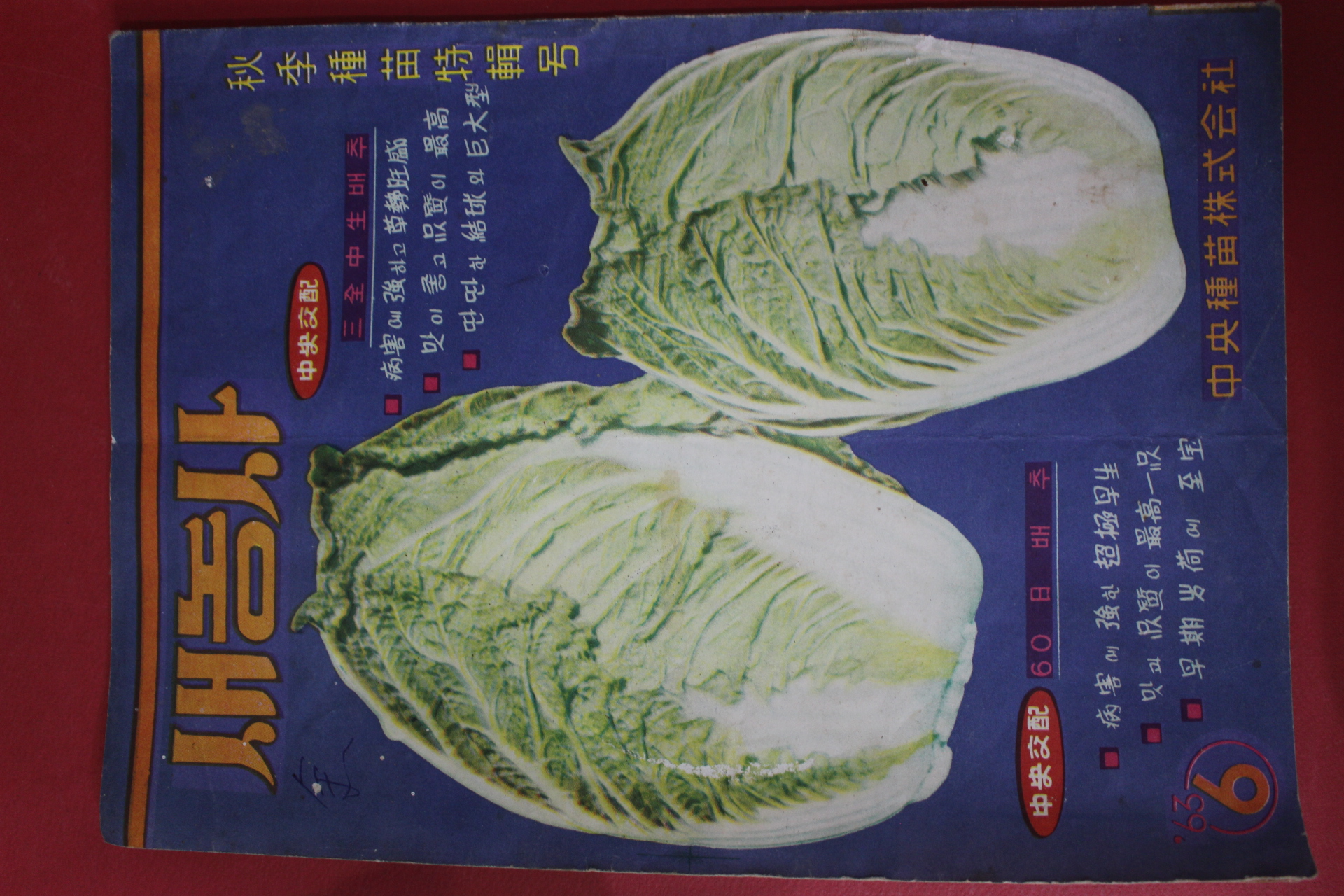 1963년 새농사 6월호