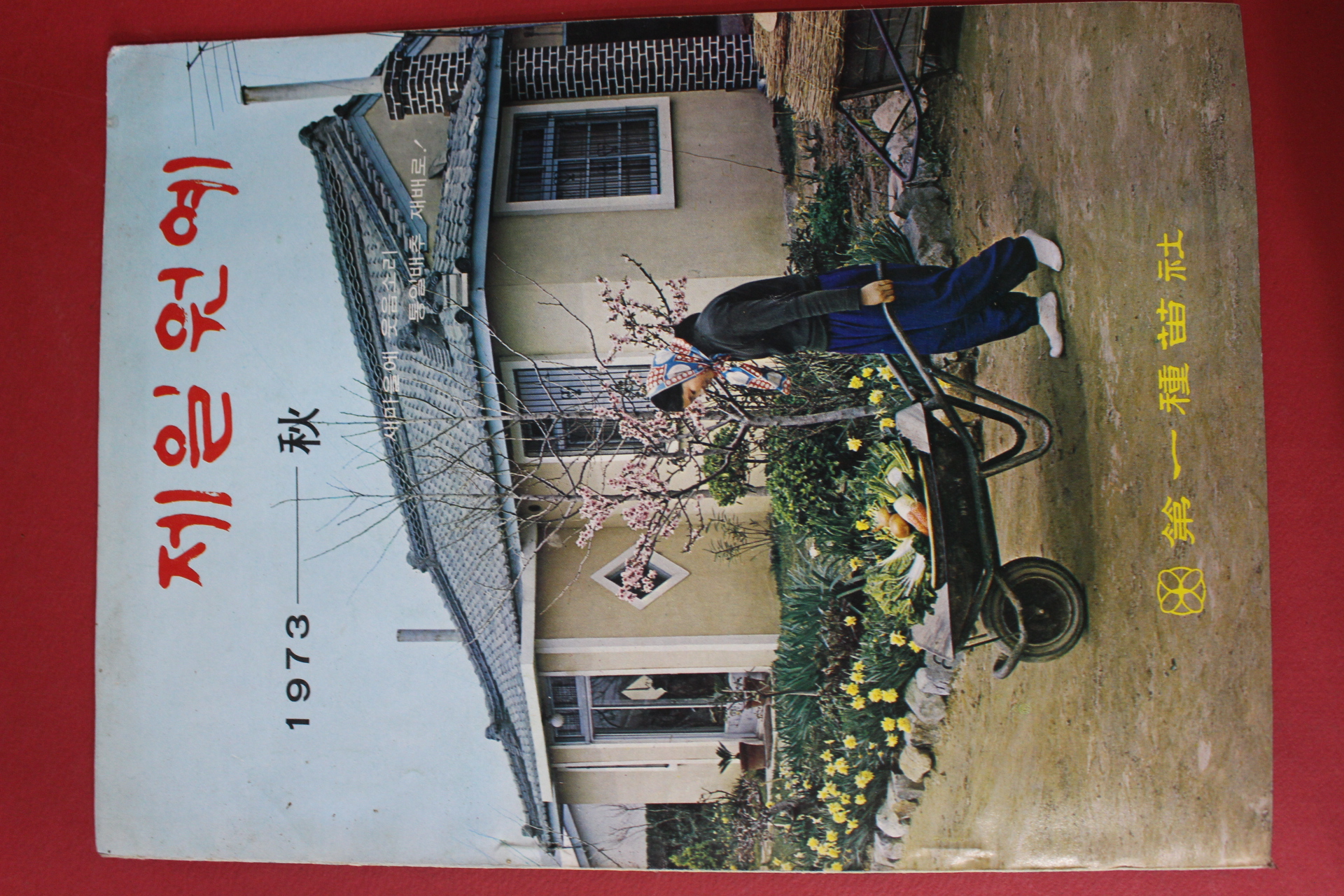 1973년 제일원예 가을호