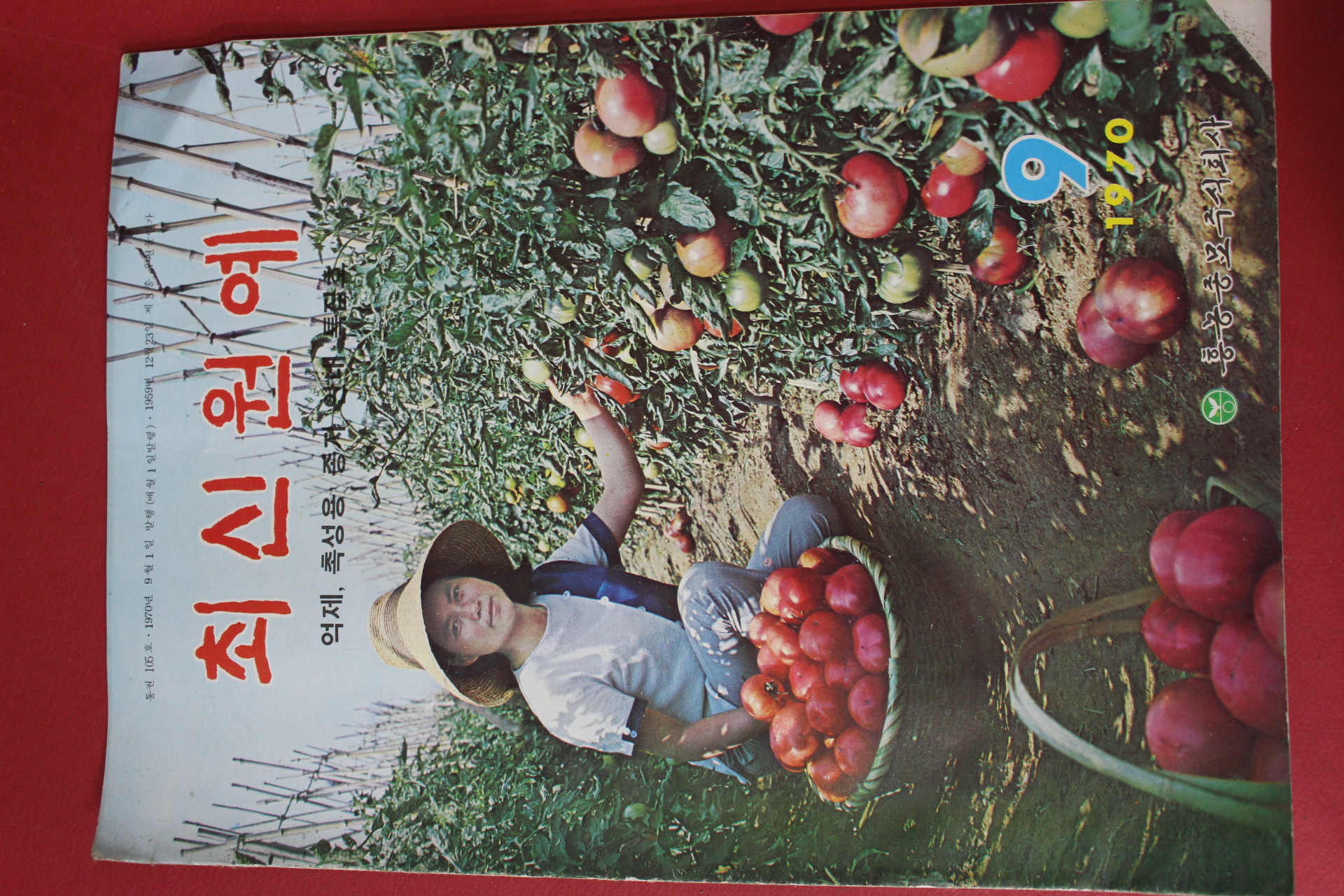 1970년 최신원예 9월호