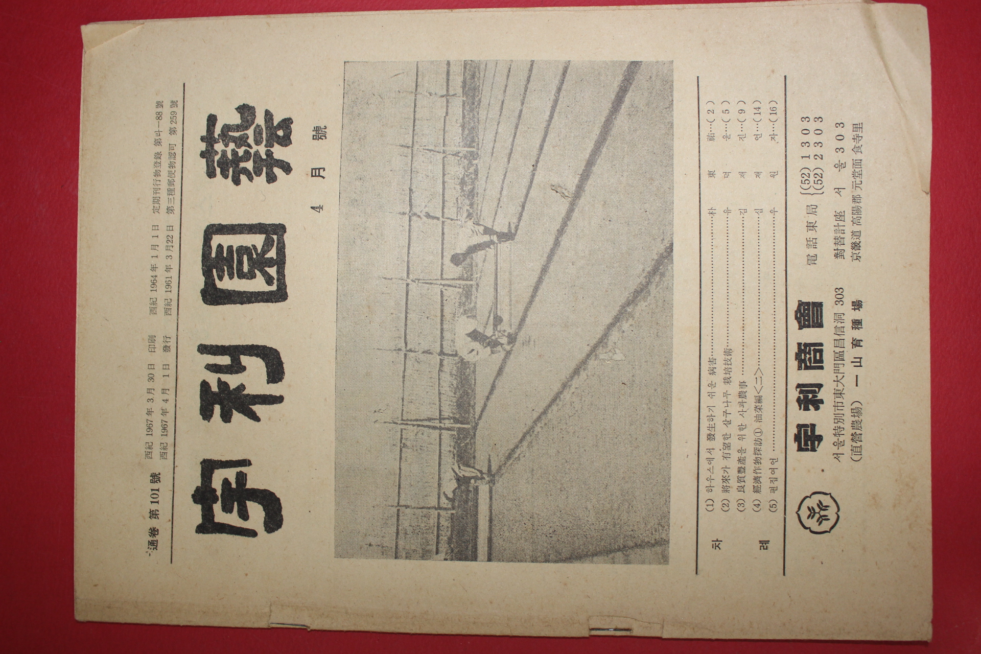 1967년 우리원예 4월호