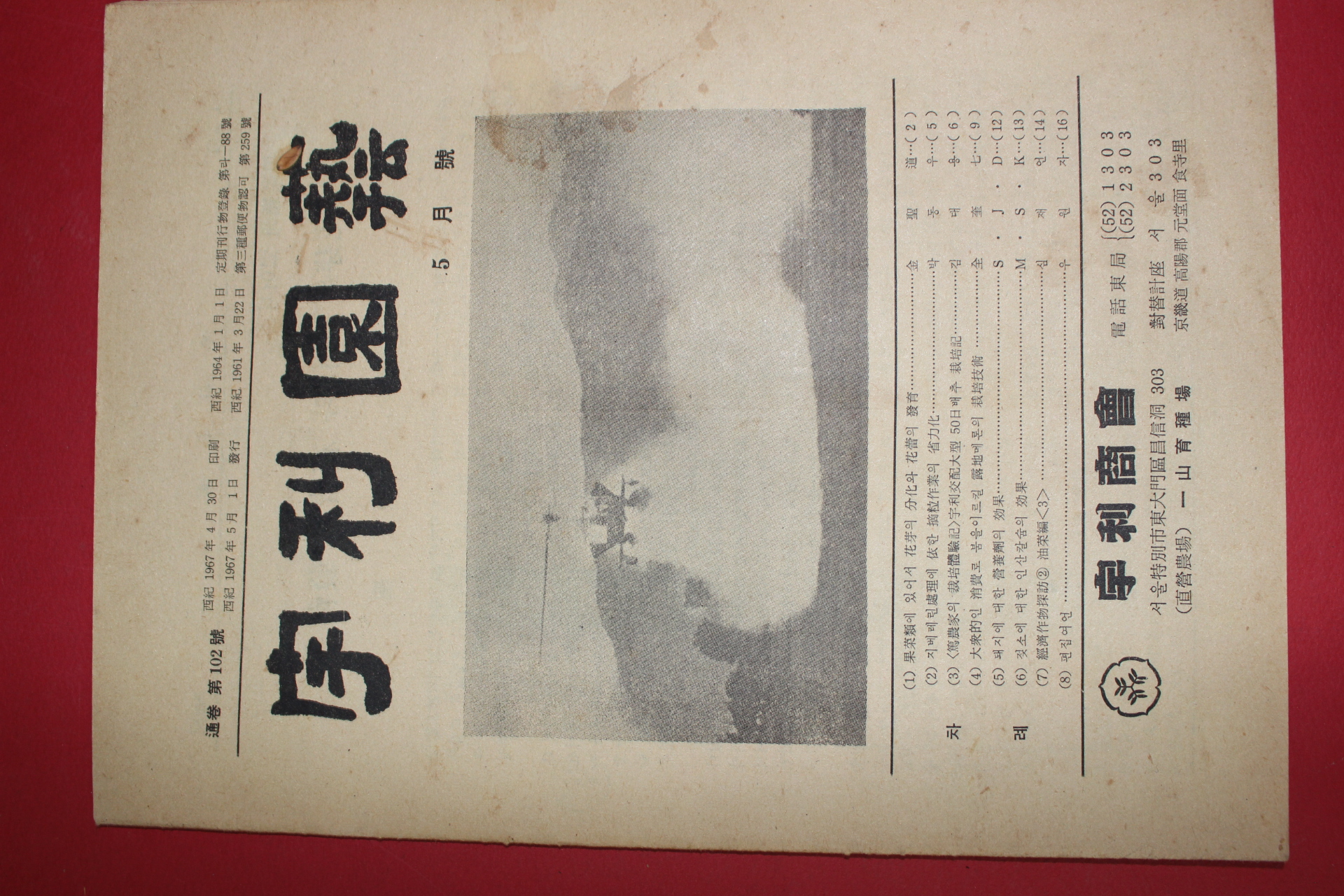 1967년 우리원예 5월호