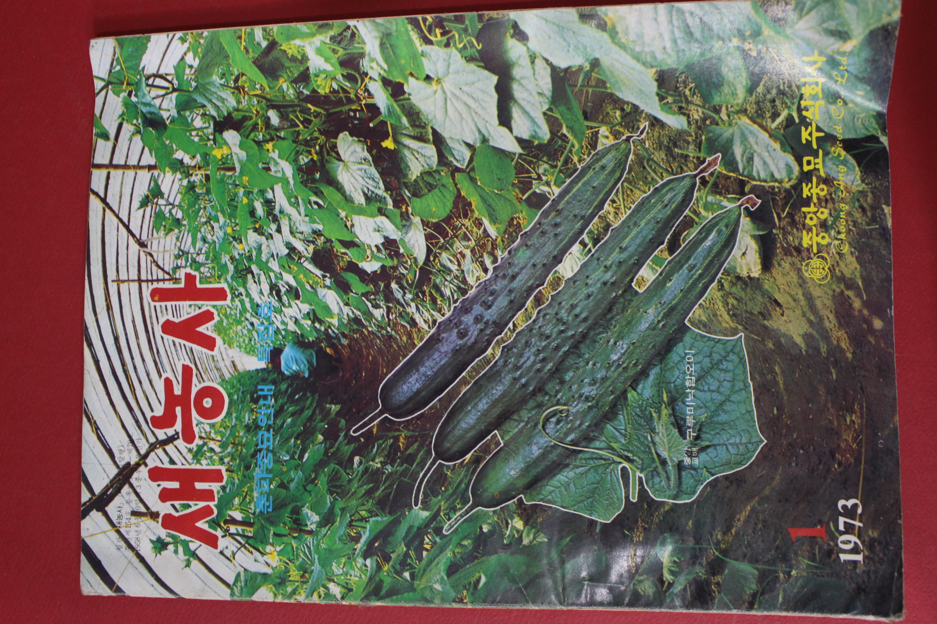 1973년 새농사 1월호
