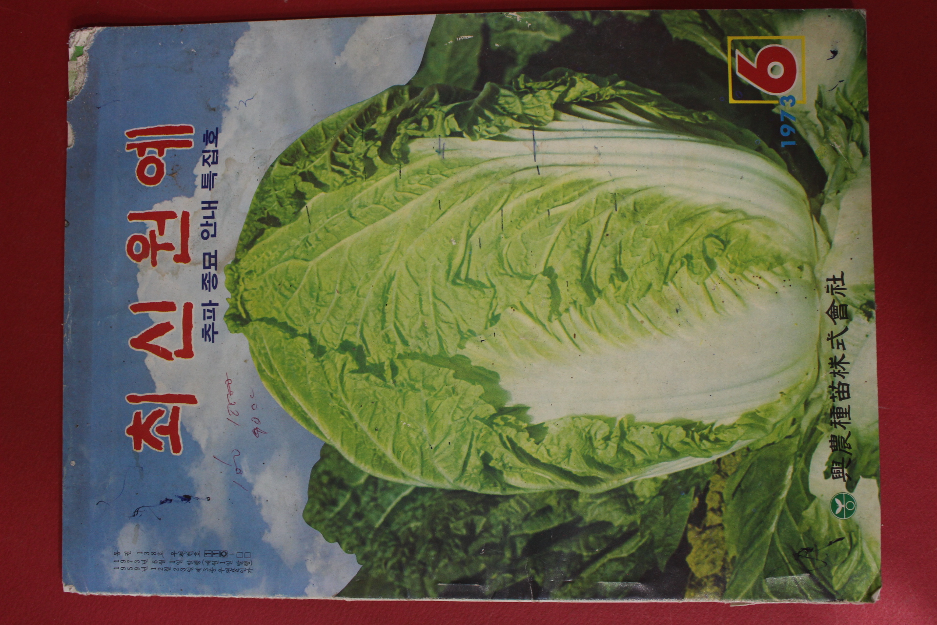 1973년 최신원예 6월호
