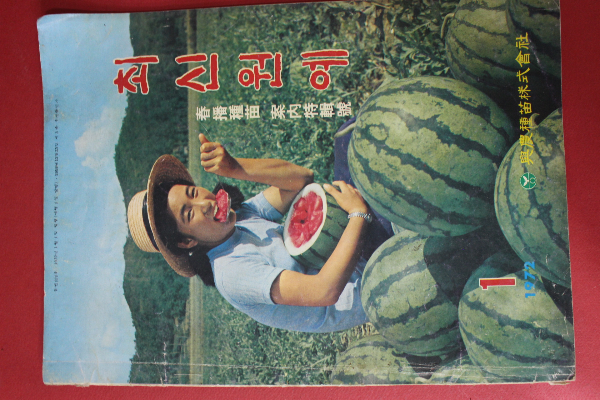 1972년 최신원예 1월호