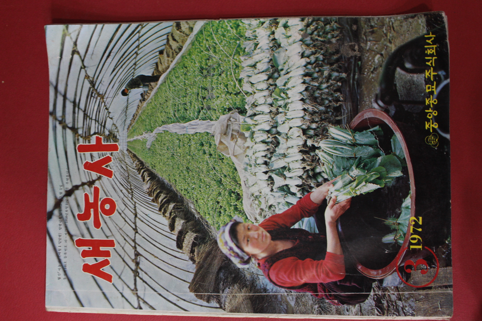 1972년 중앙종묘 새농사 3월호