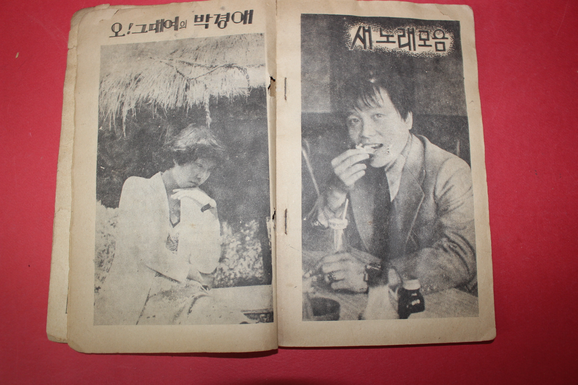 1970년대 표지모델 장미화 기타연습용곡 새노래앨범
