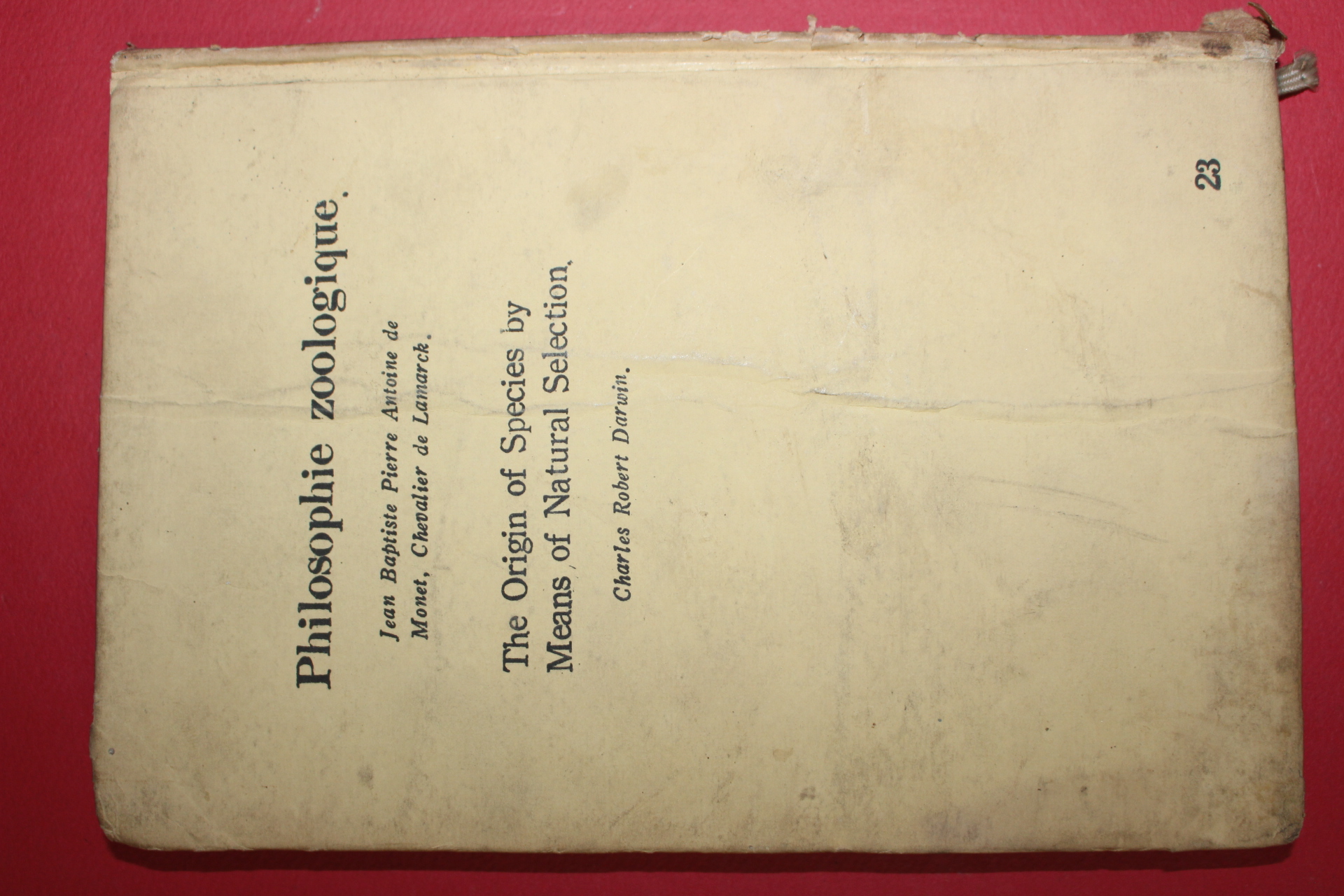 1958년 다윈 동물철학종의 기원