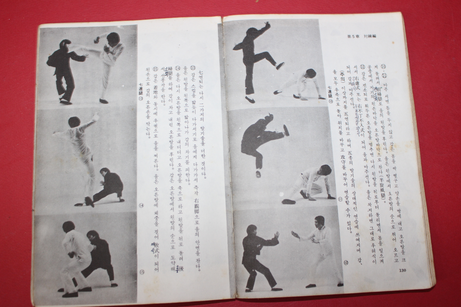 1978년 쿵후무술교본