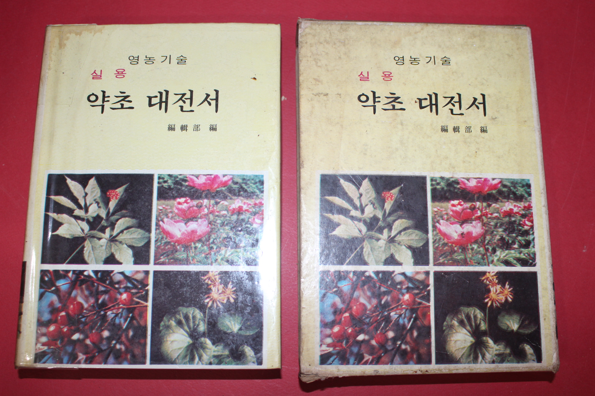 1978년 약초대전서