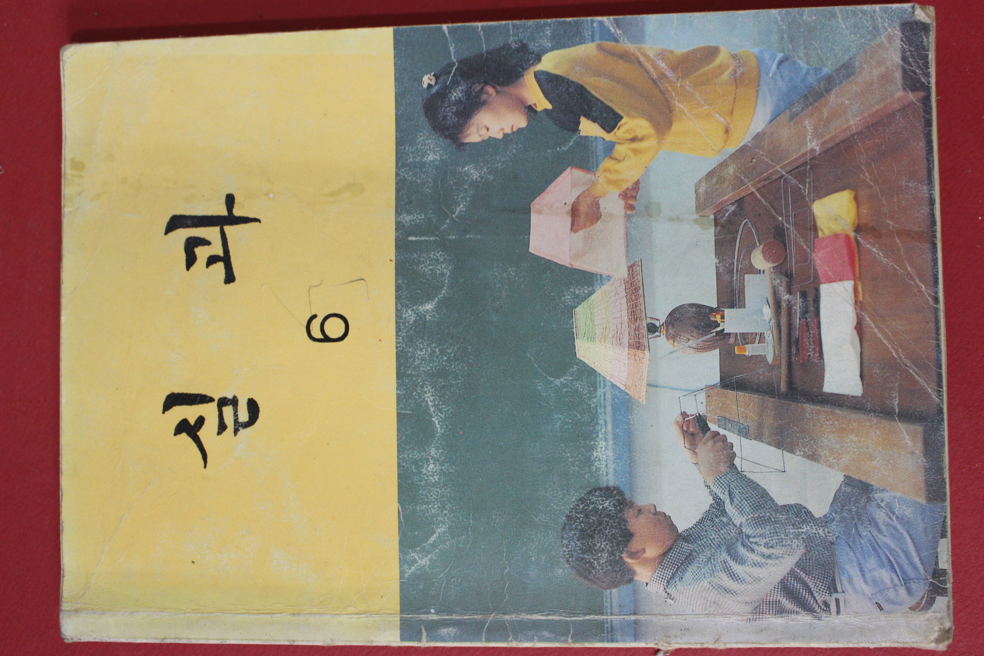 1992년 실과 5
