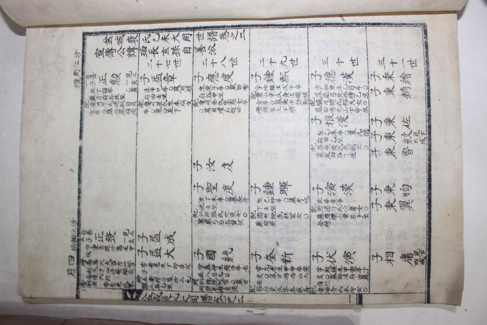 1955년 석판본 익성배씨을미대동보(益城裵氏乙未大同譜) 3책완질