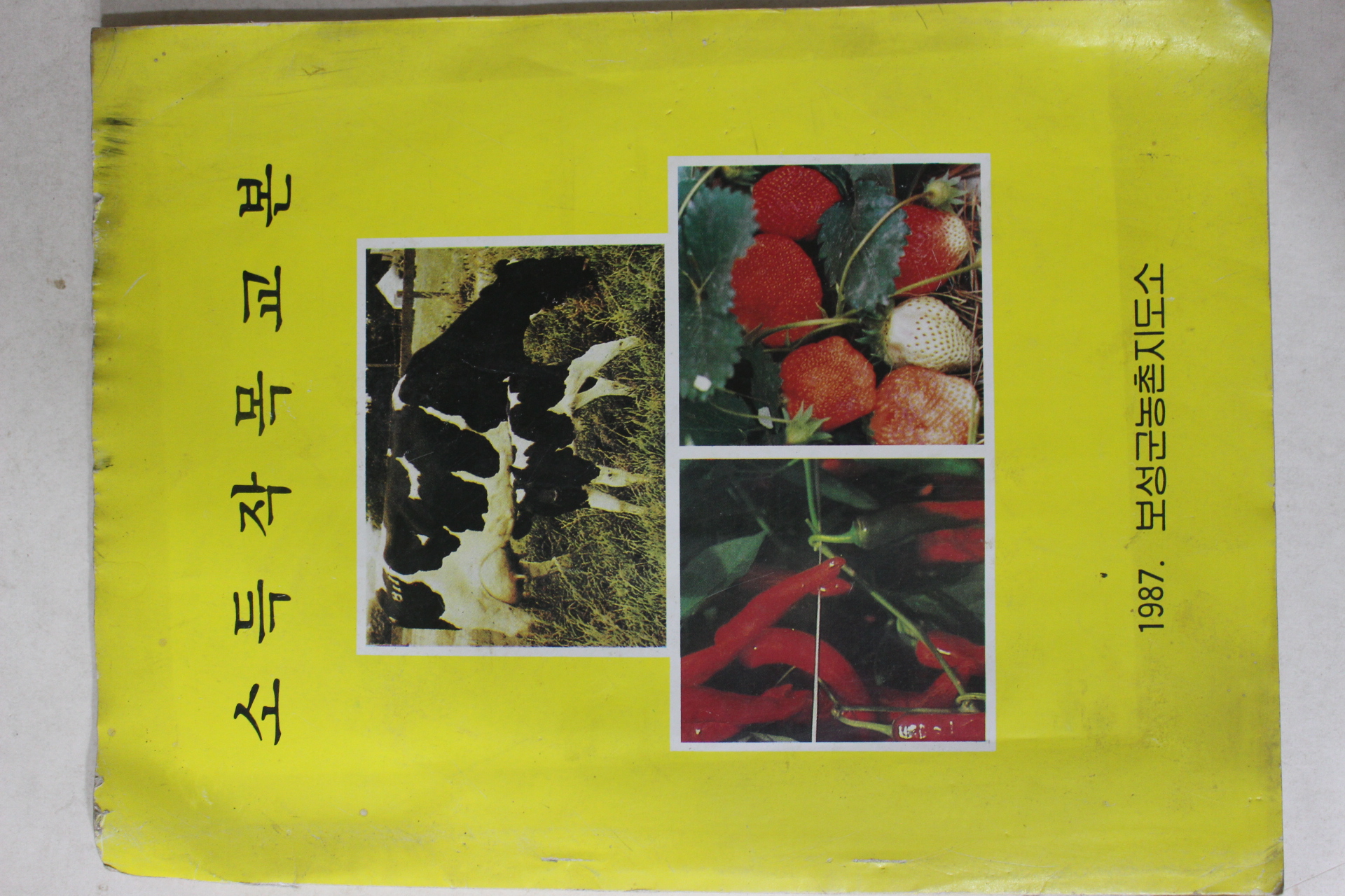 1987년 보성군농촌지도소 소득작목교본