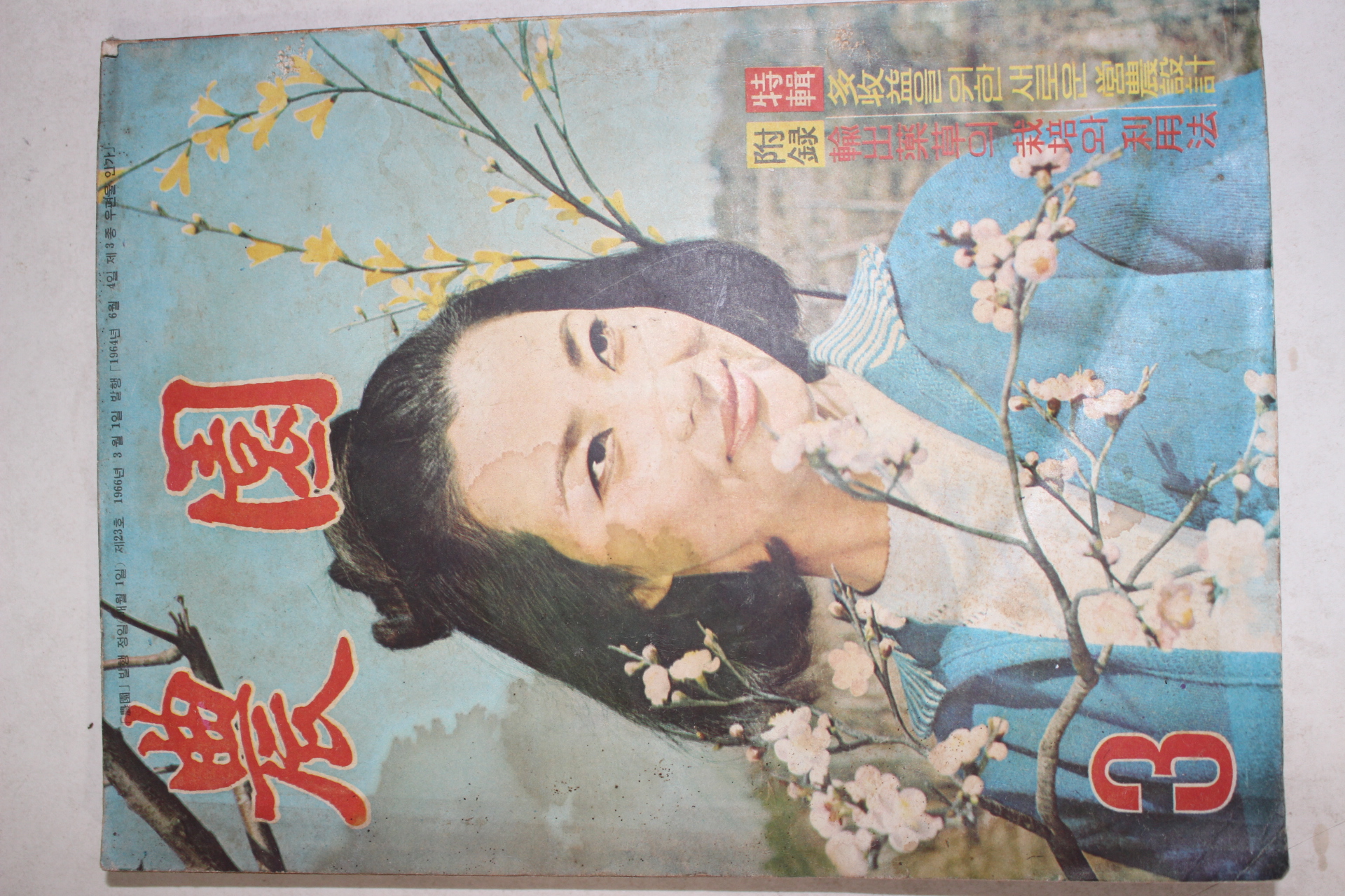 1966년 농원 3월호