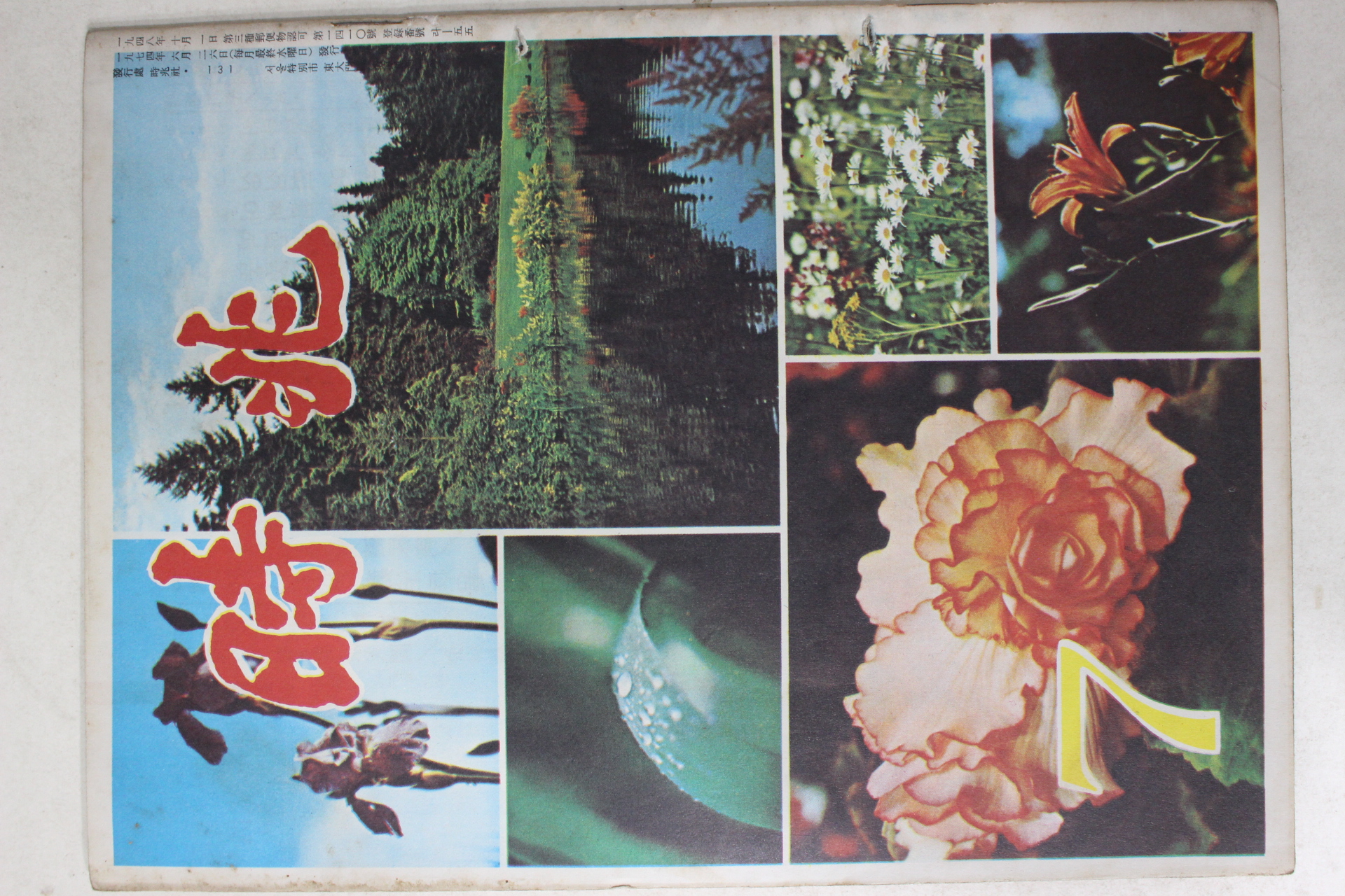 1974년 시조 7월호