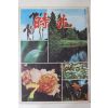 1974년 시조 7월호