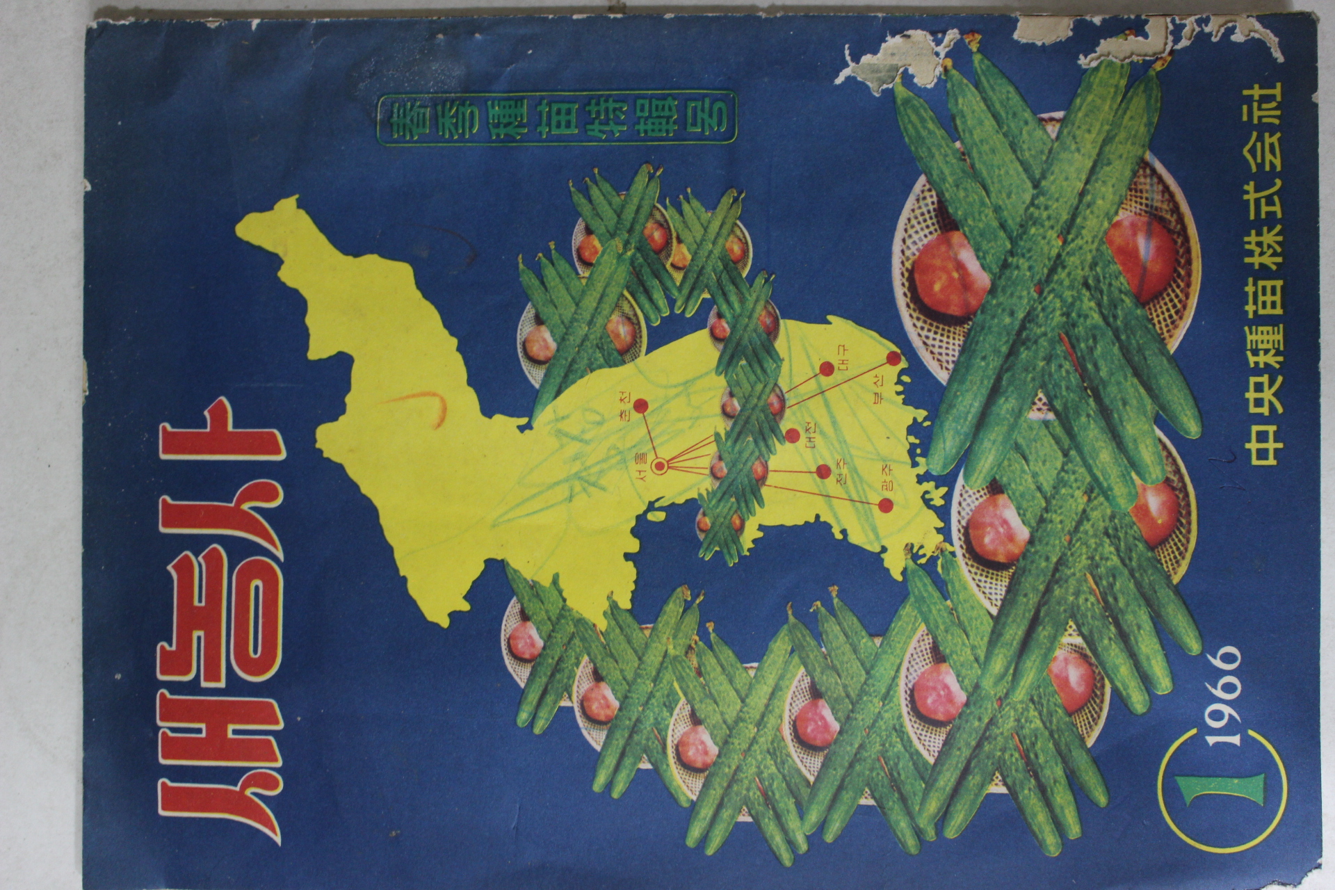 1966년 새농사 1월호