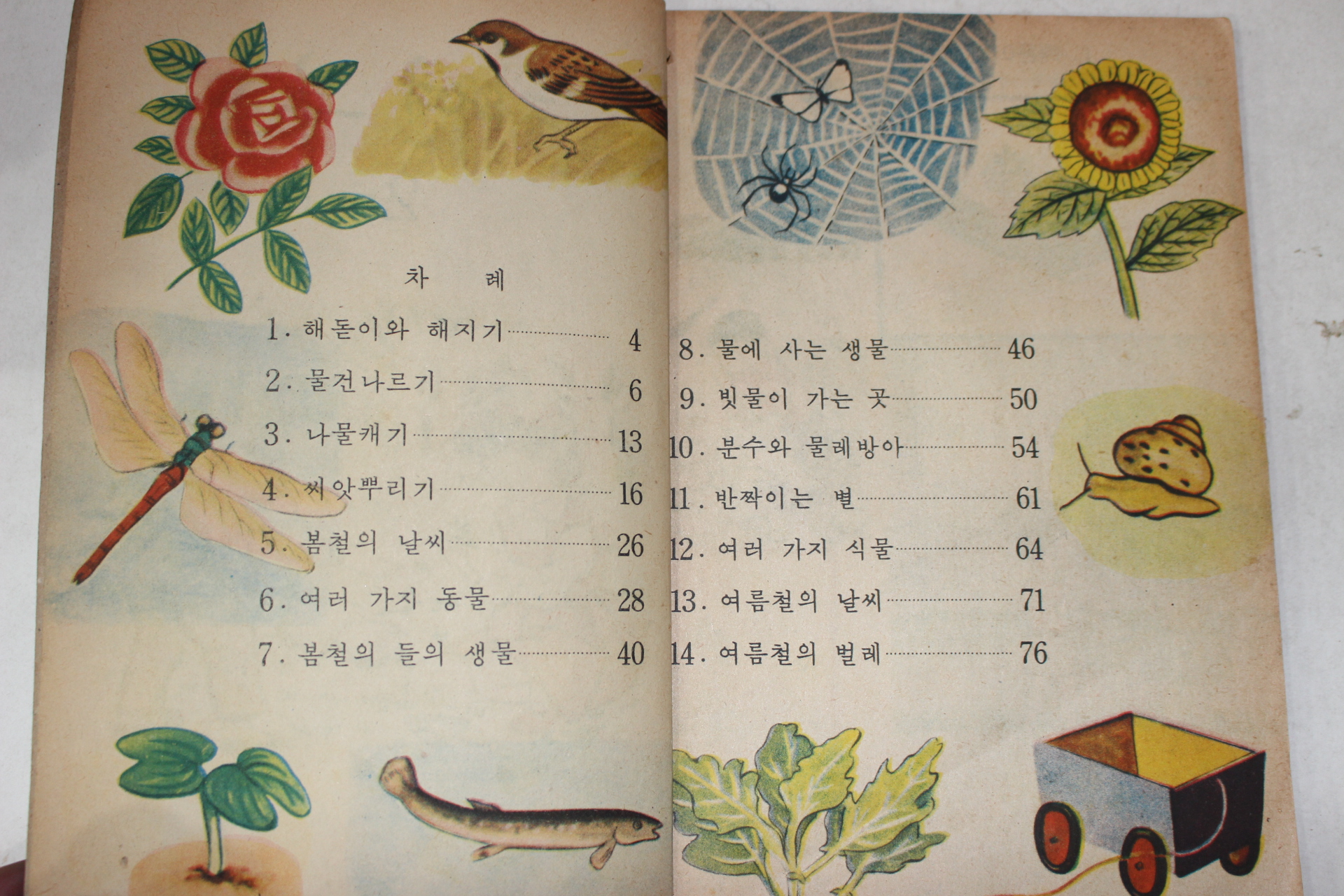 1966년 희귀교과서 자연부도 2-1