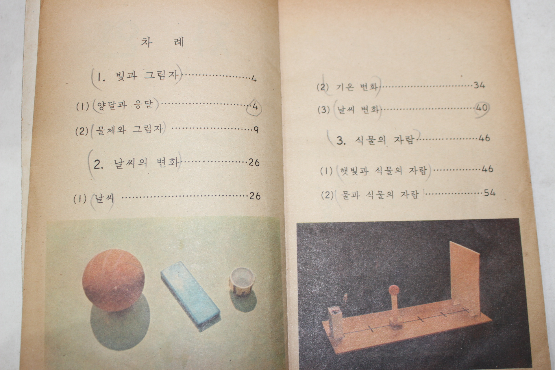 1975년 자연 2-1