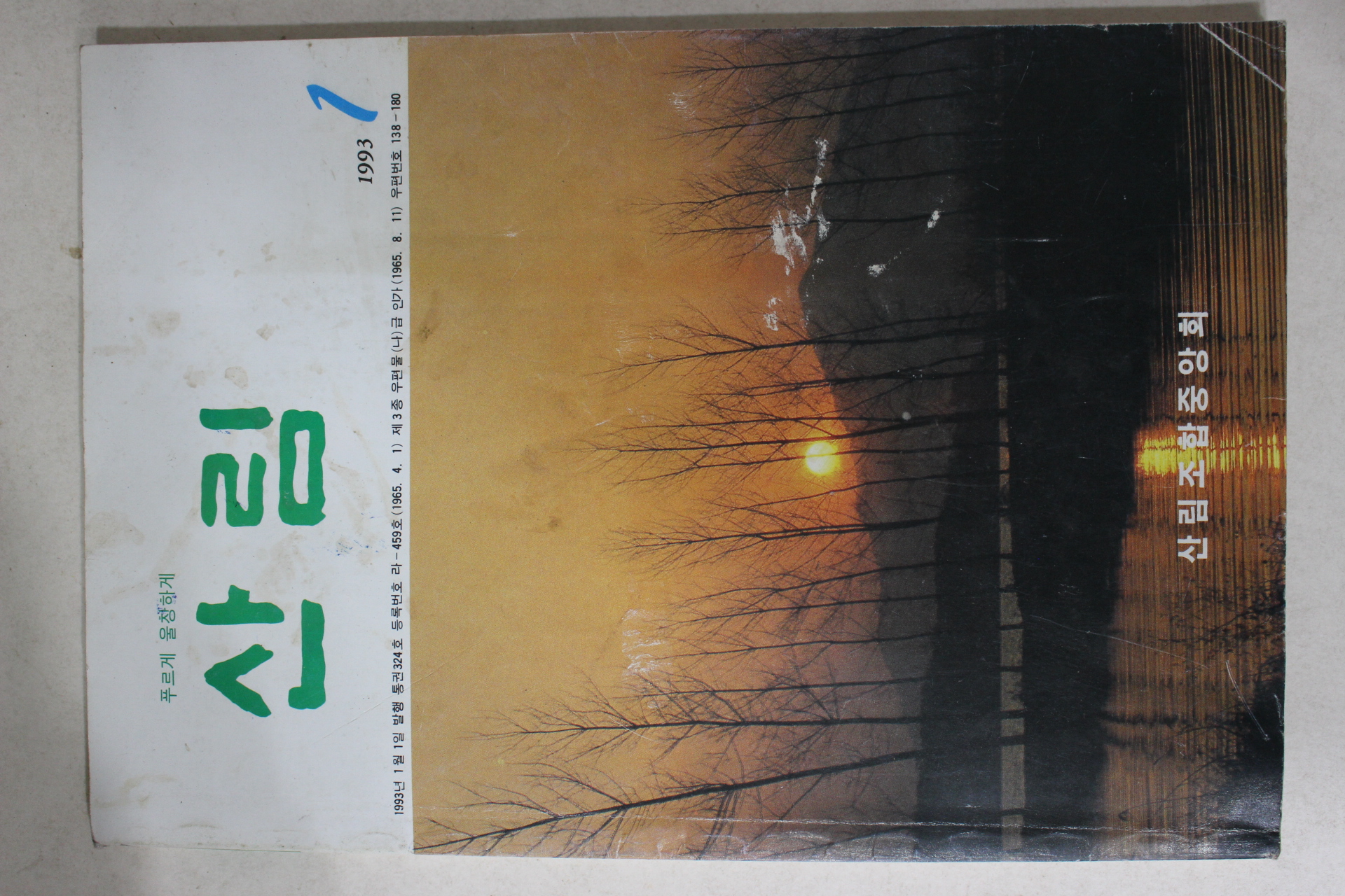 1993년 산림 1월호