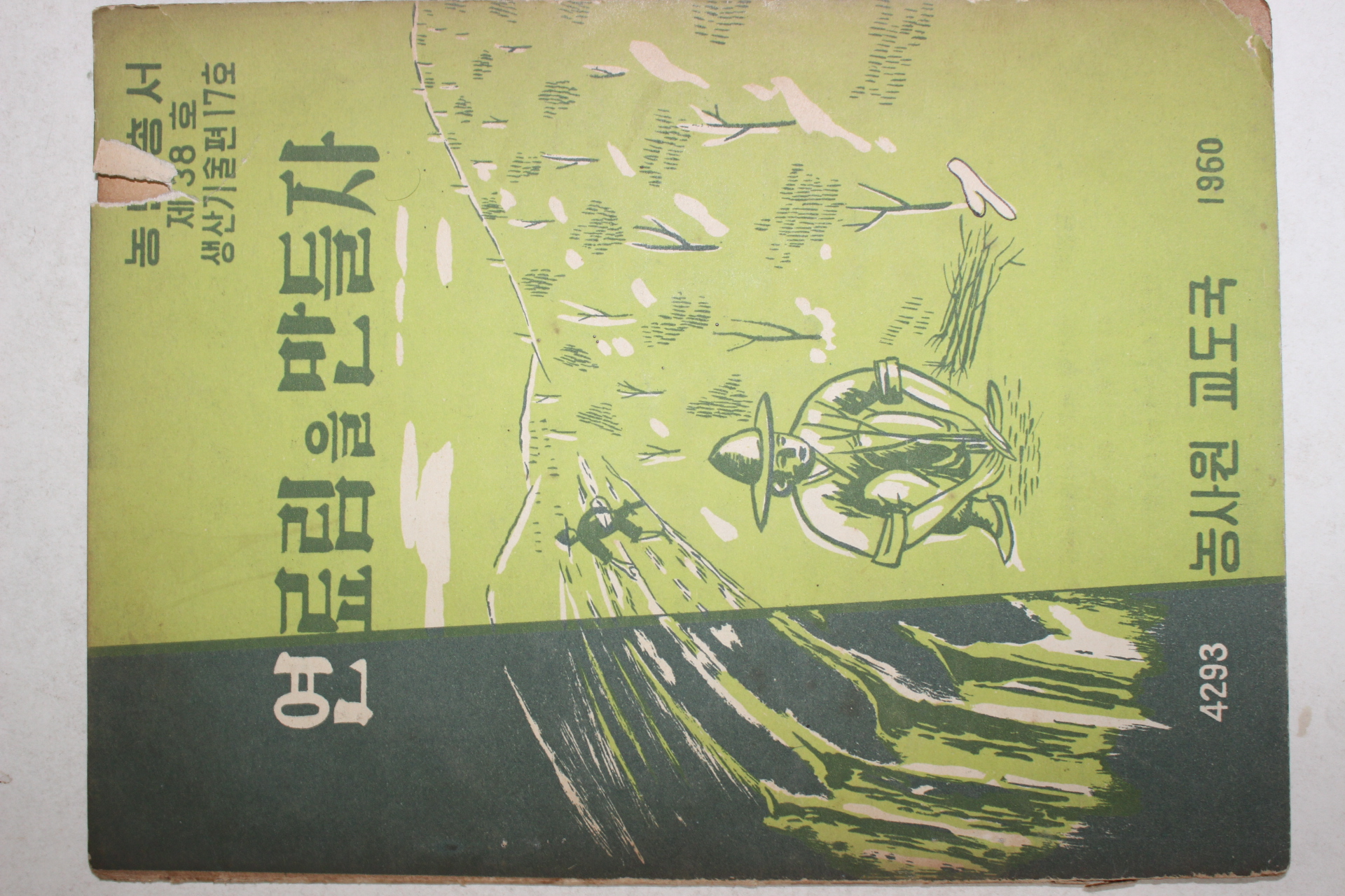 1960년 농사원교도국 연료림을 만들자