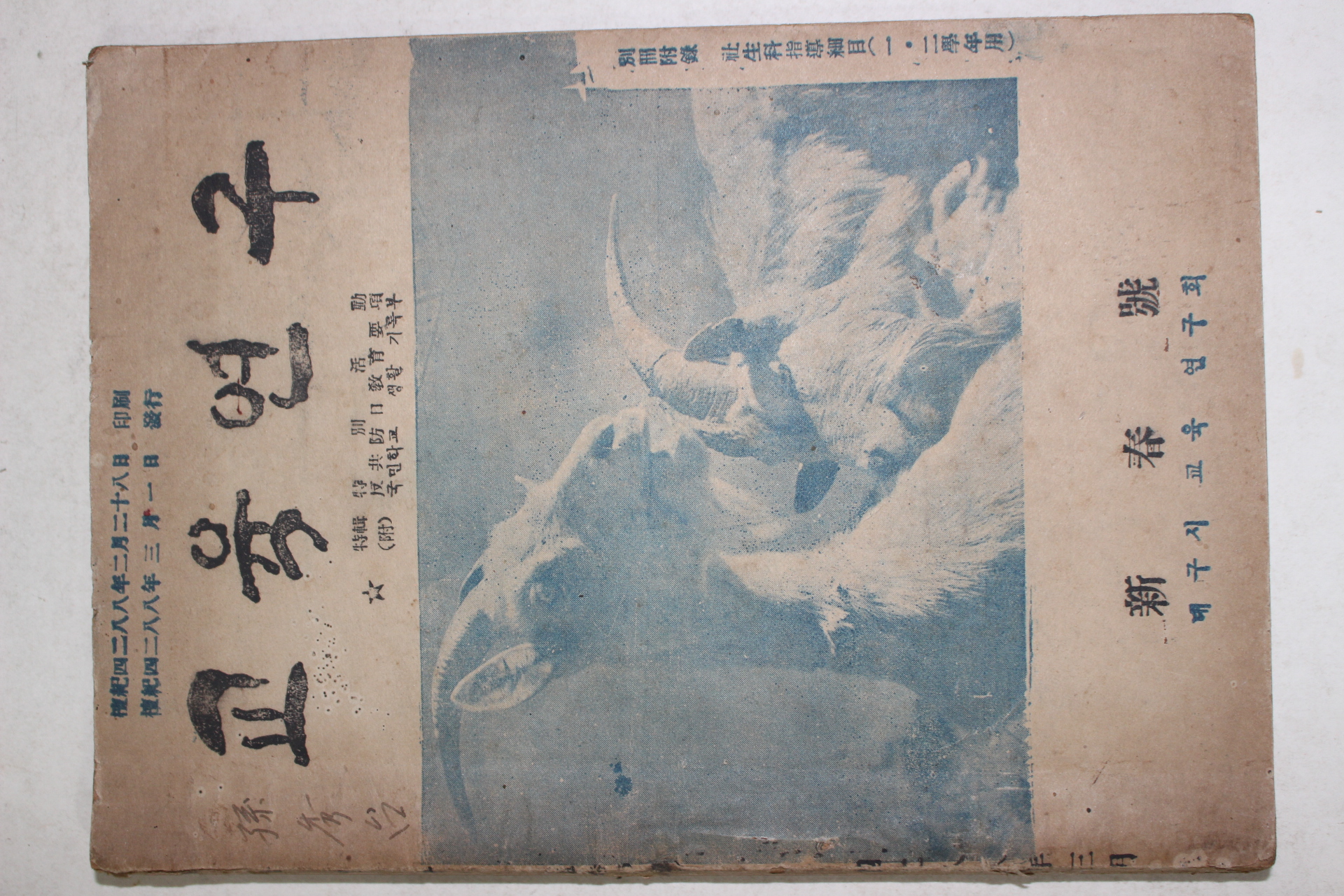 1955년 대구시교육연구회 교육연구 신춘호