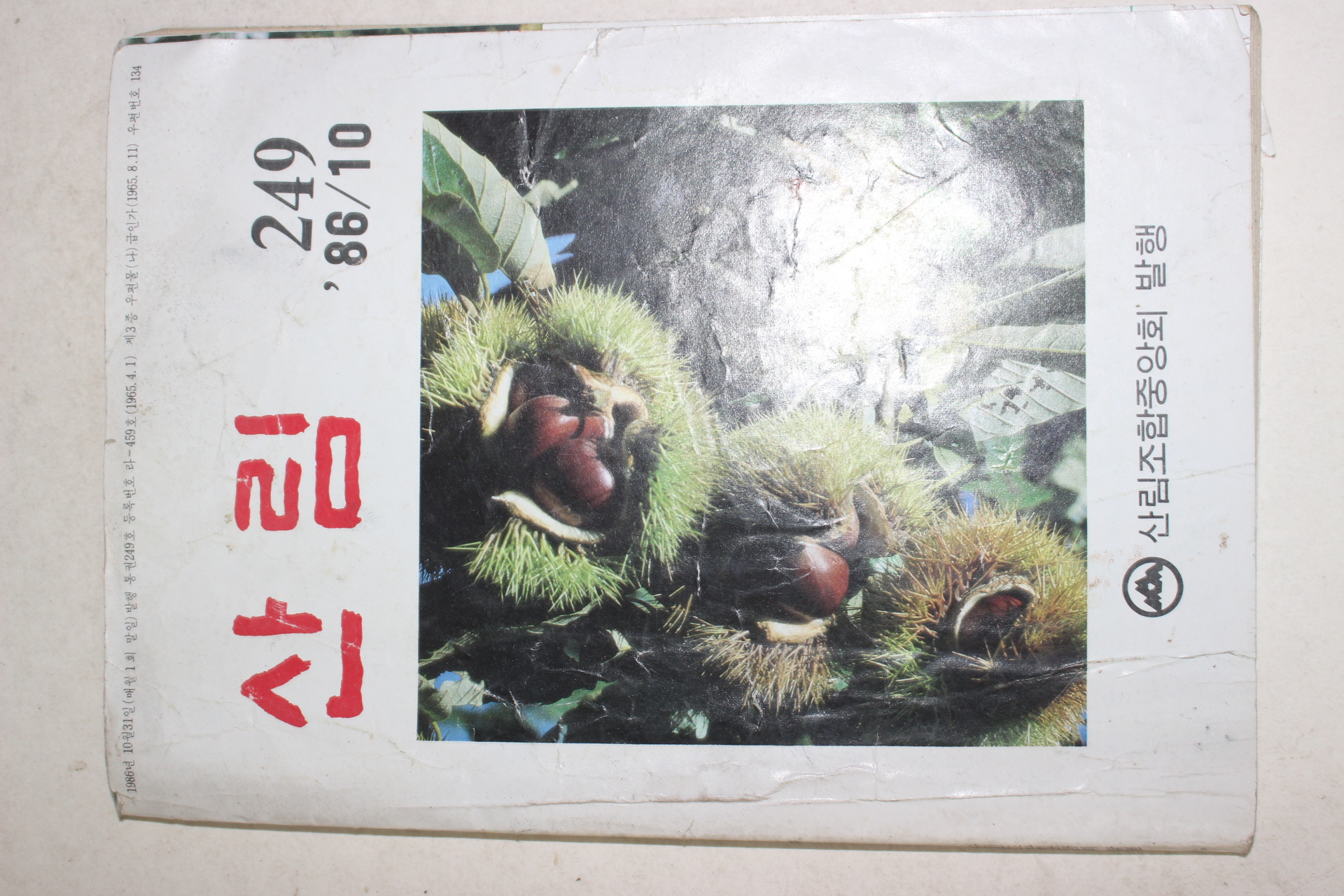 1986년 산림 10월호