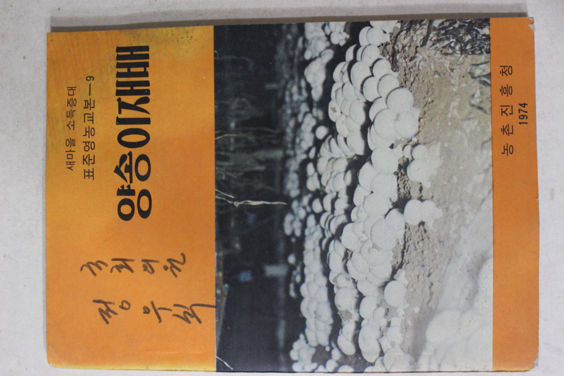 1974년 농촌진흥청 양송이재배