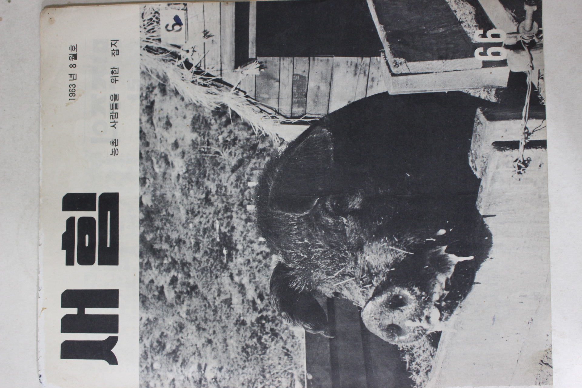 1963년 새힘 66호