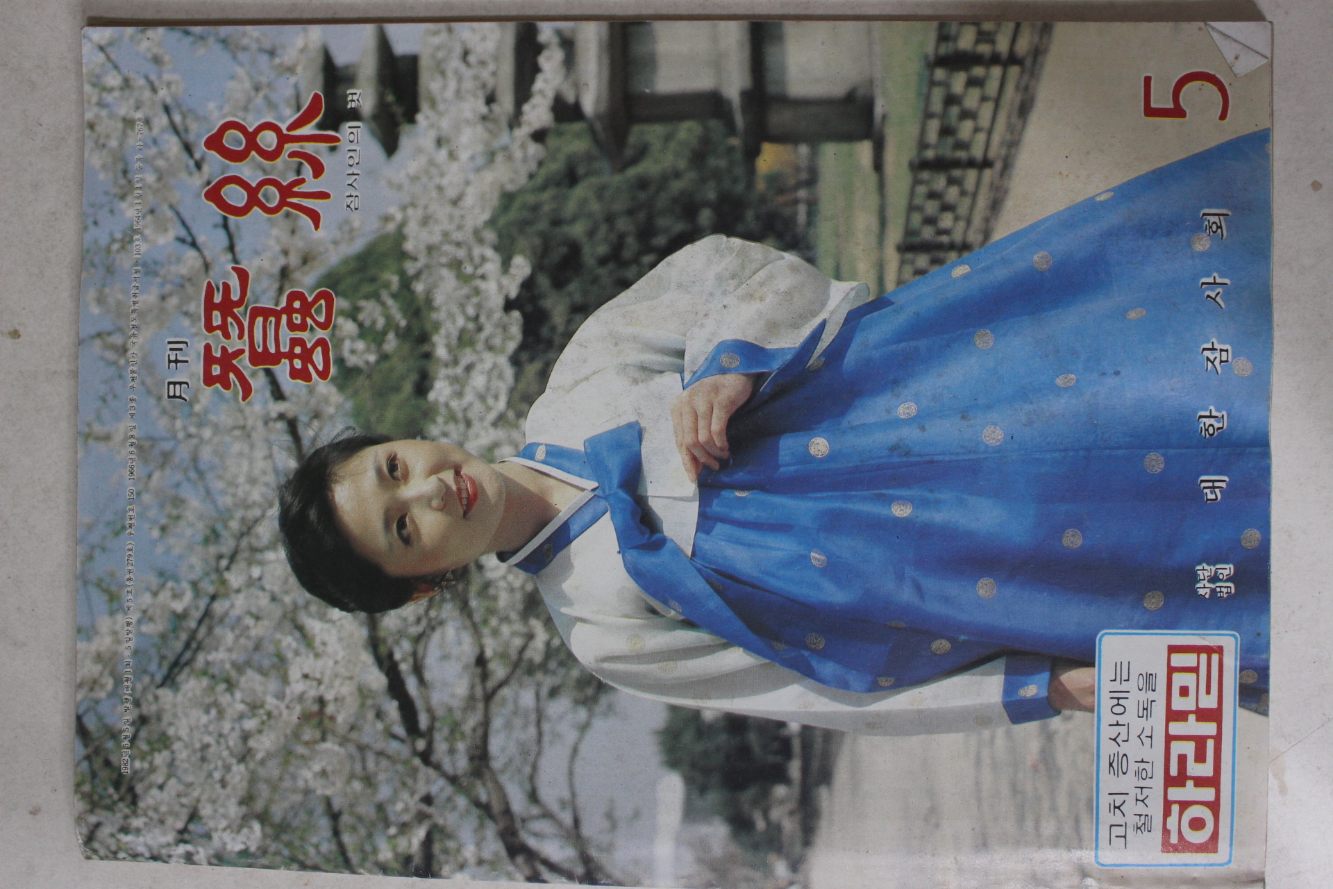 1982년 월간 잠사 5월호