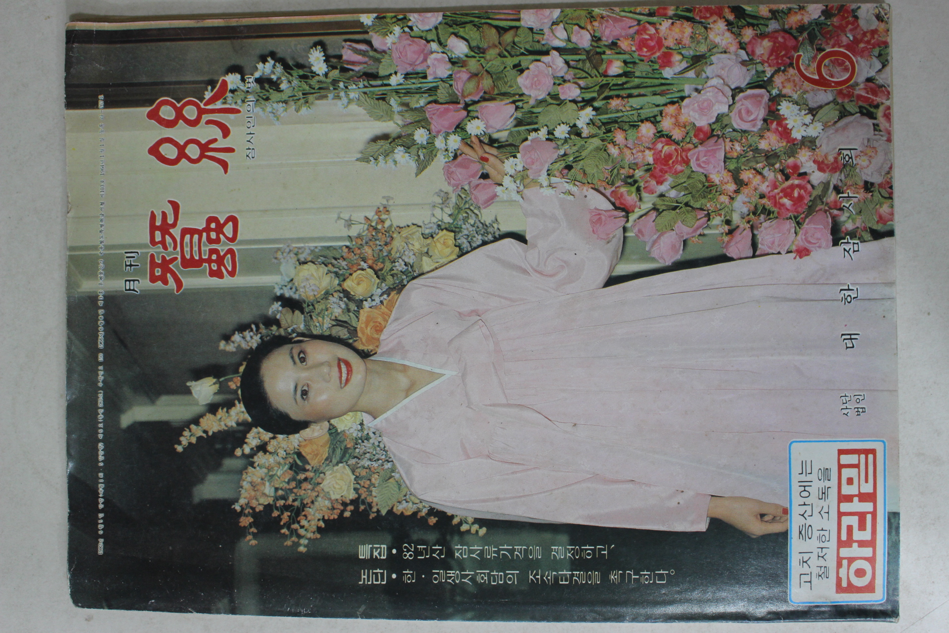 1982년 월간 잠사 6월호