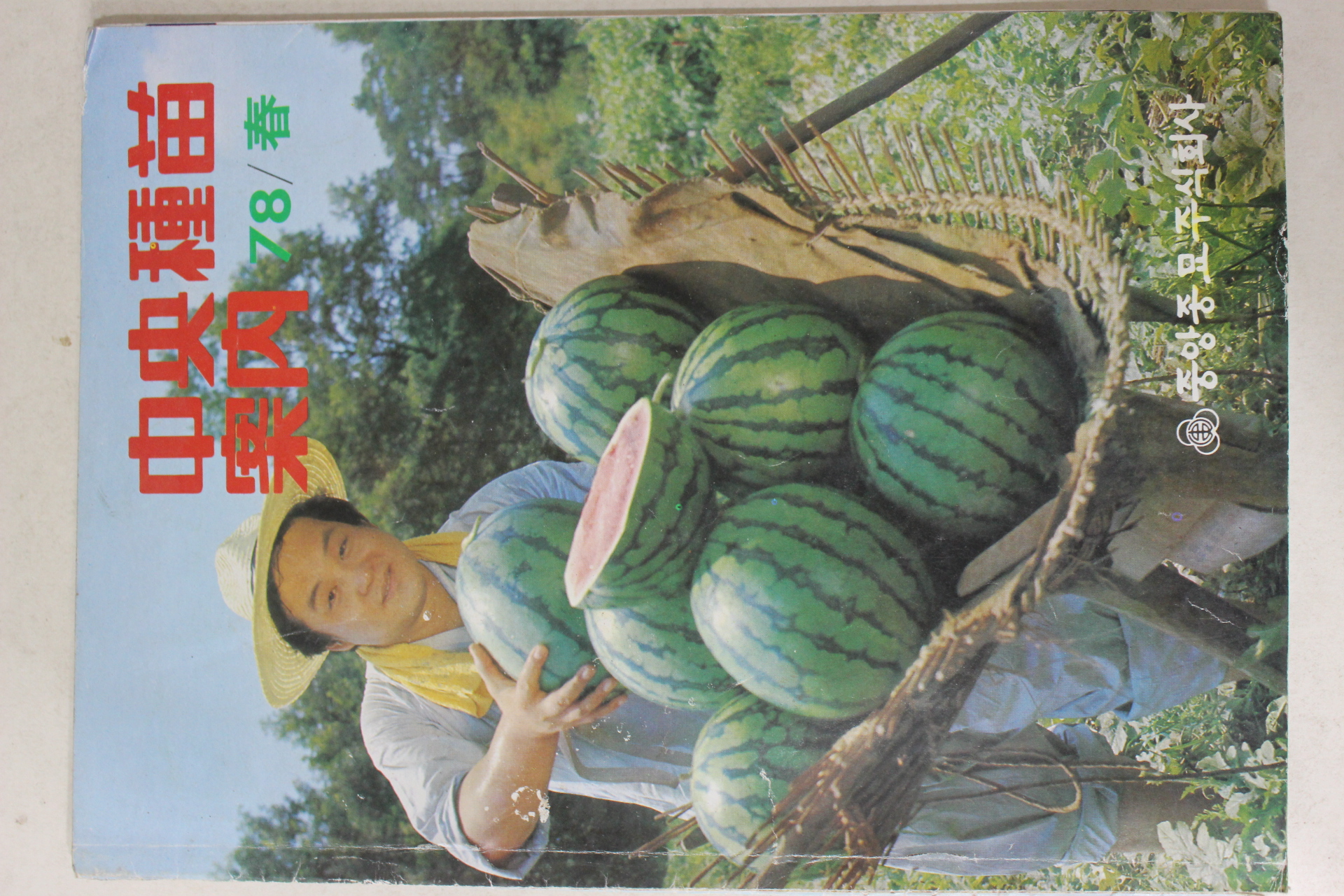 1978년 중앙종묘안내 봄호