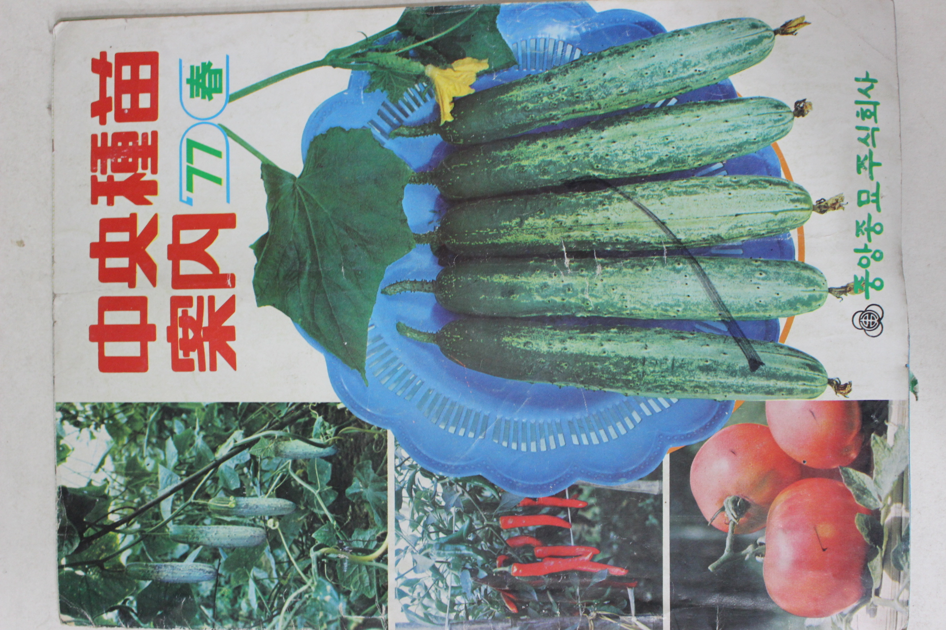 1977년 중앙종묘안내 봄호