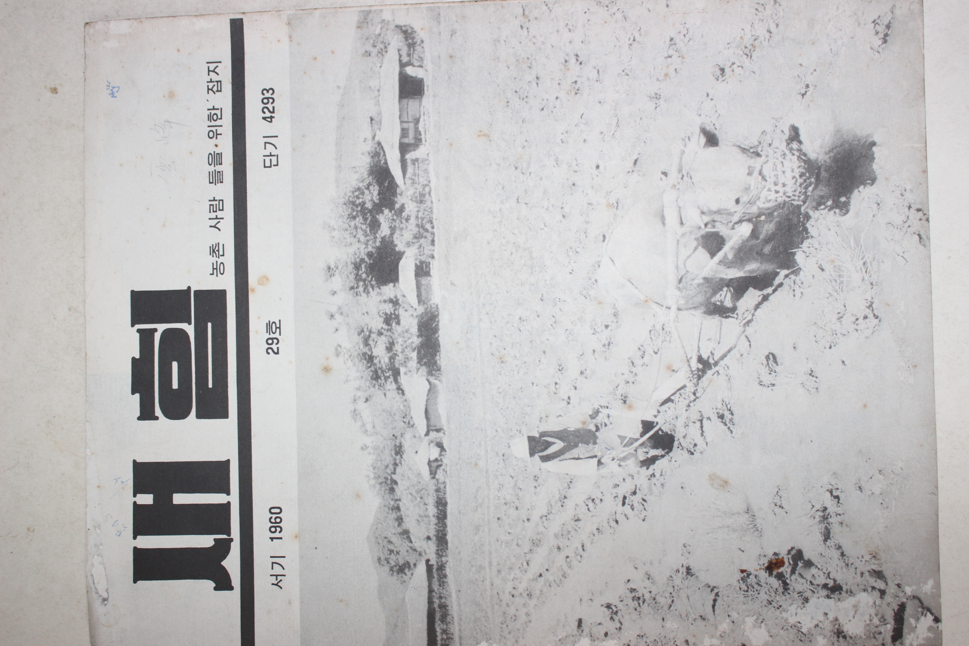 1960년 새힘 29호