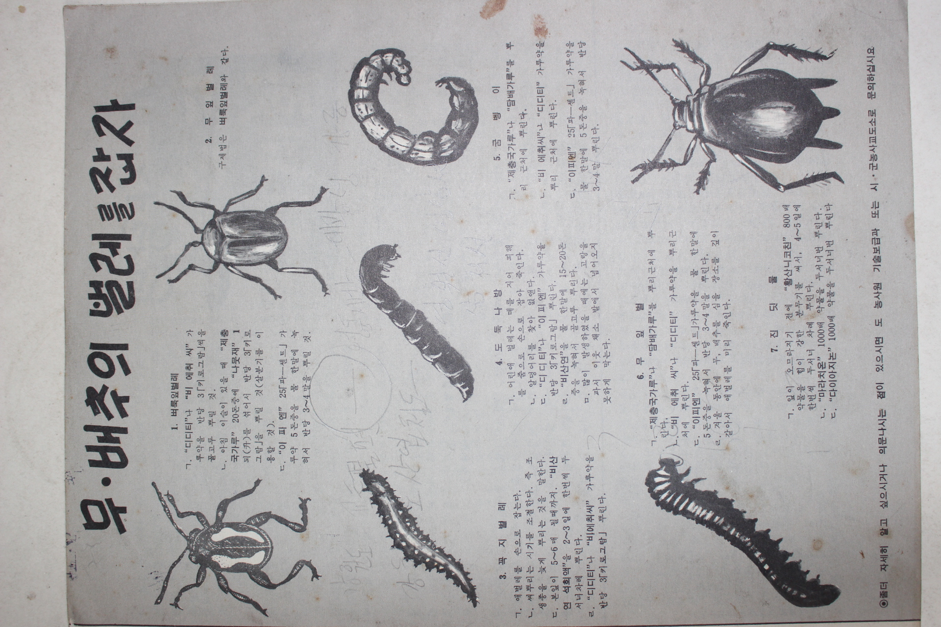1961년 새힘 42호
