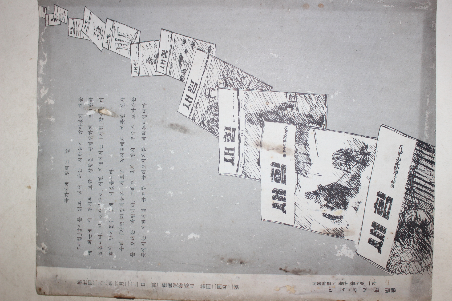 1961년 새힘 38호