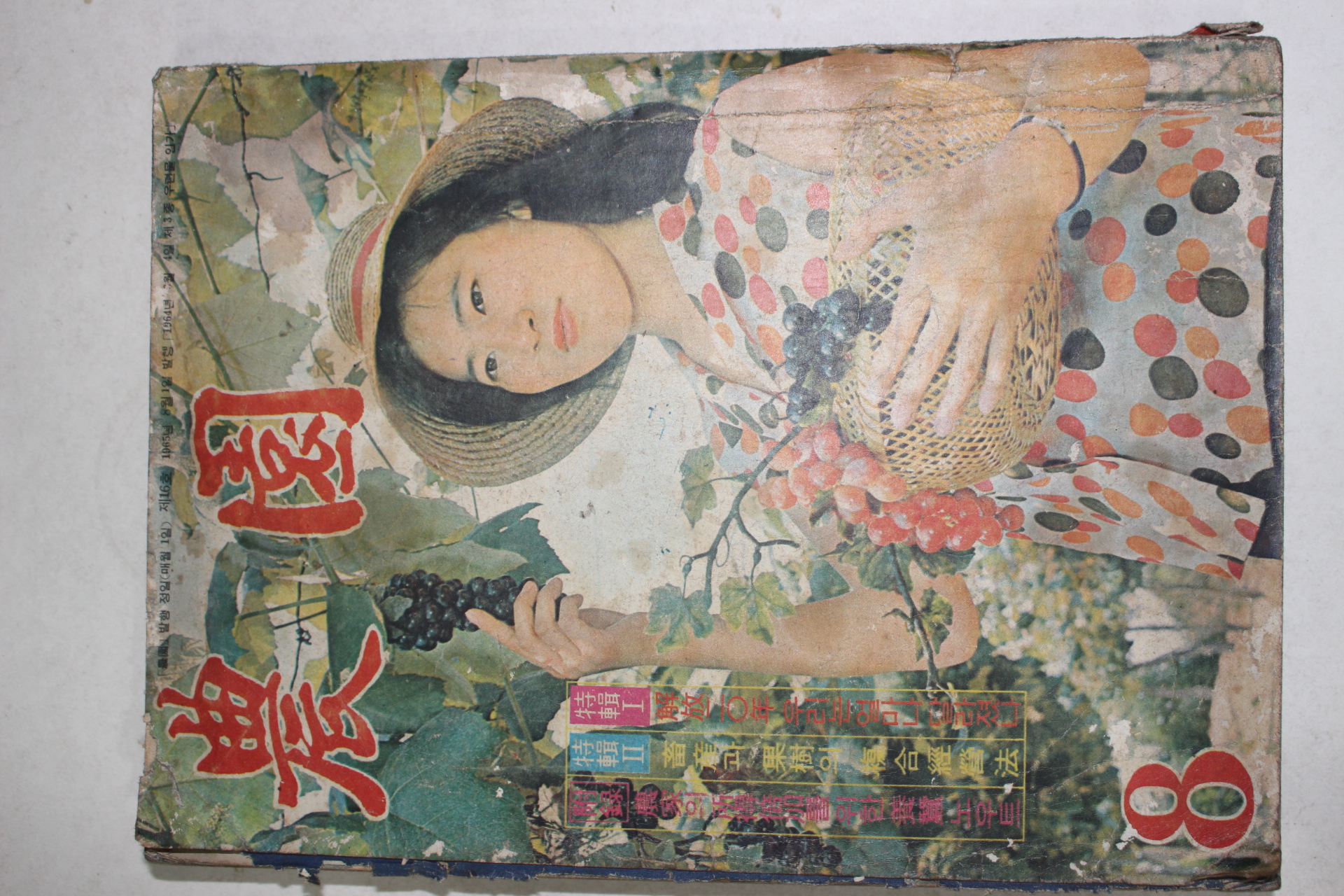 1965년 농원(農園) 8월호