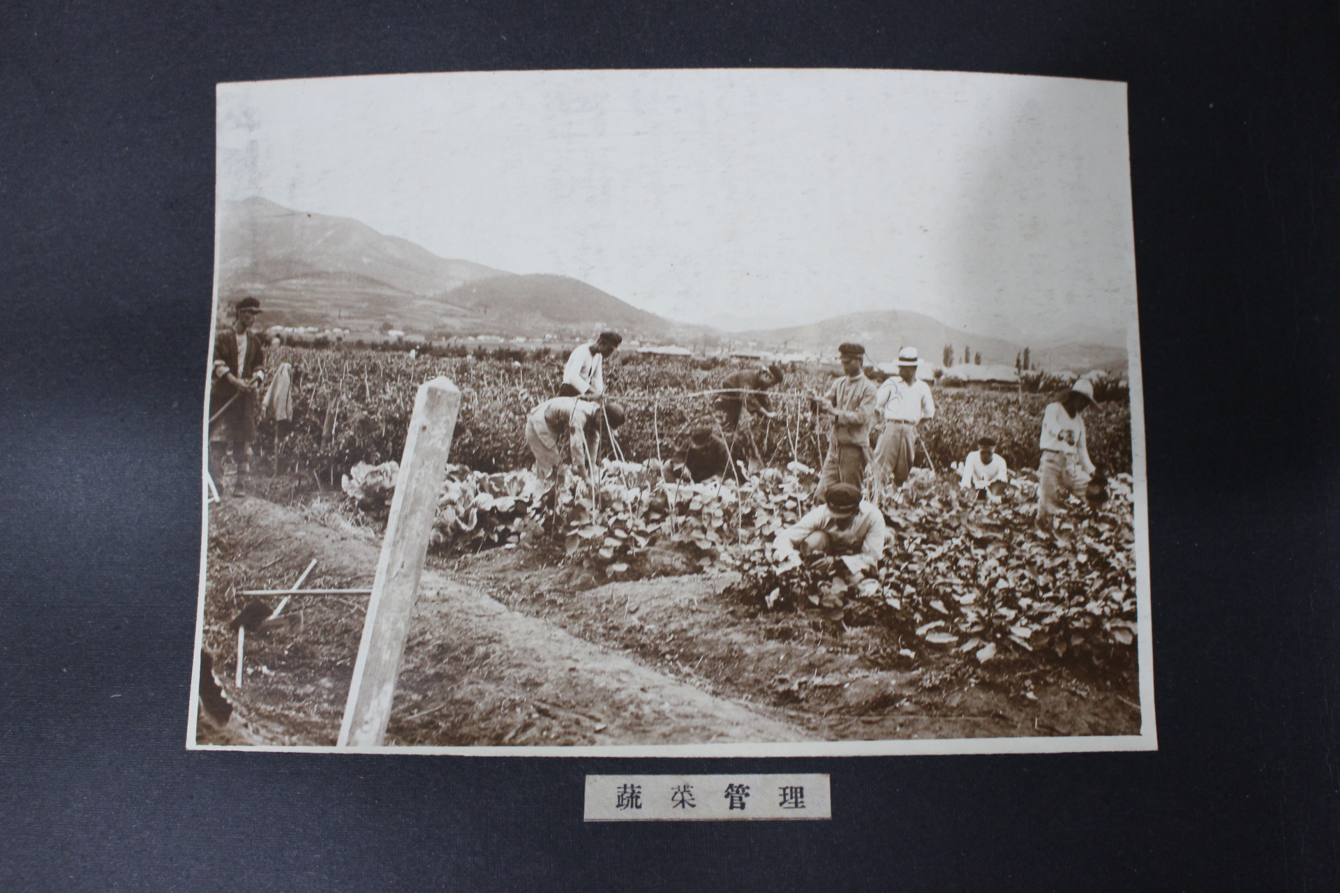 1932년 밀양공립농잠학교 제6회 졸업기념사진첩(추가사진)