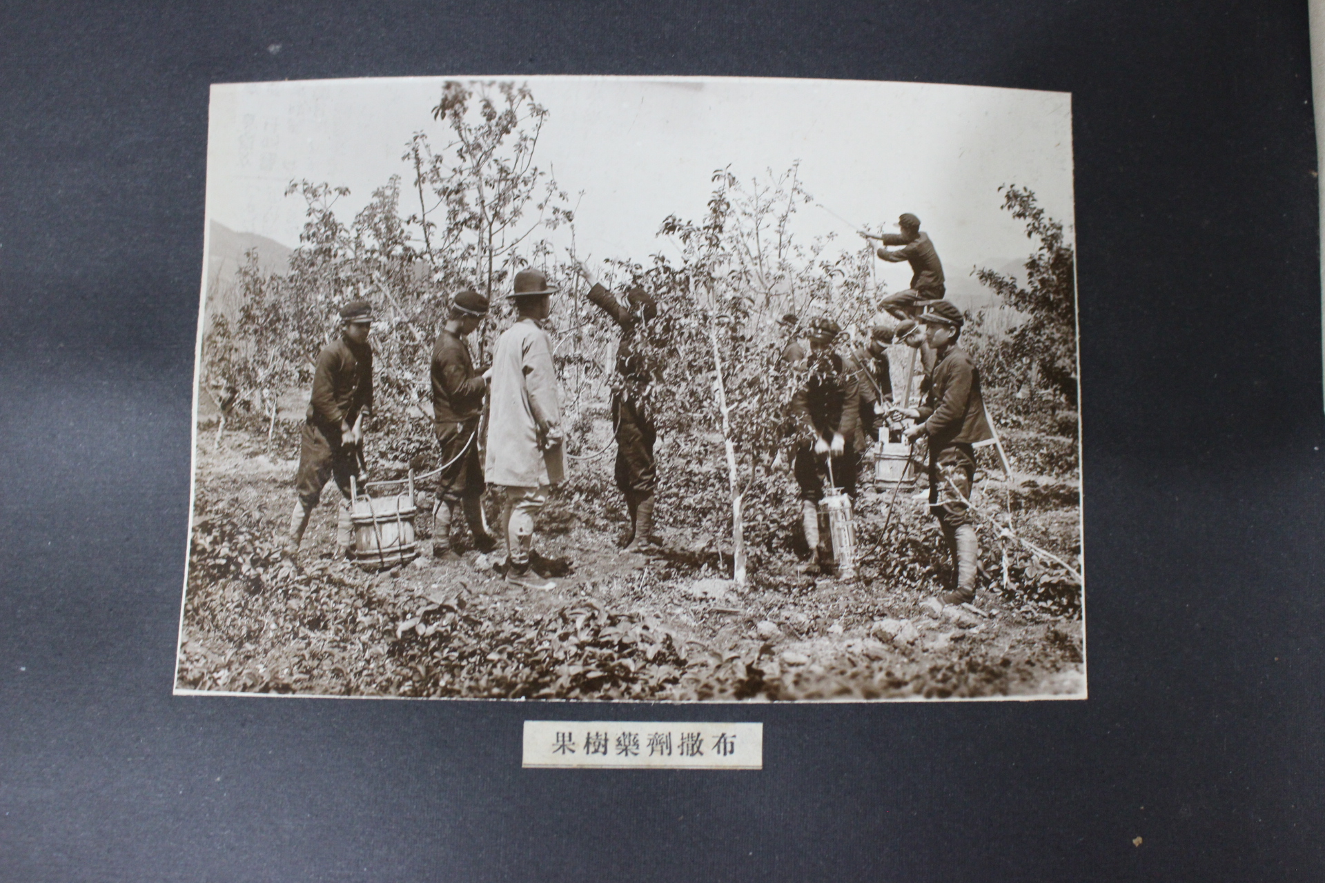 1932년 밀양공립농잠학교 제6회 졸업기념사진첩(추가사진)