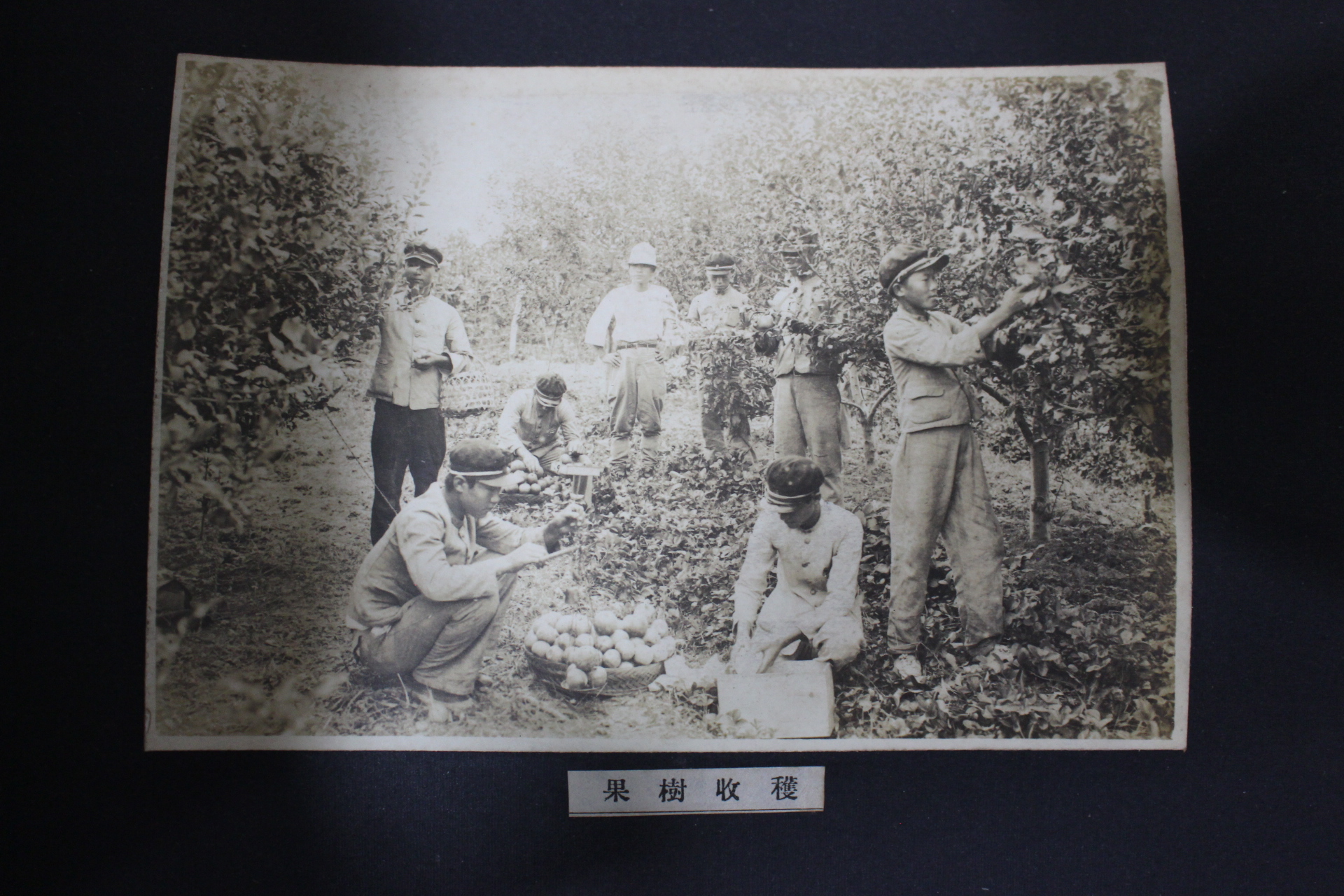 1932년 밀양공립농잠학교 제6회 졸업기념사진첩(추가사진)