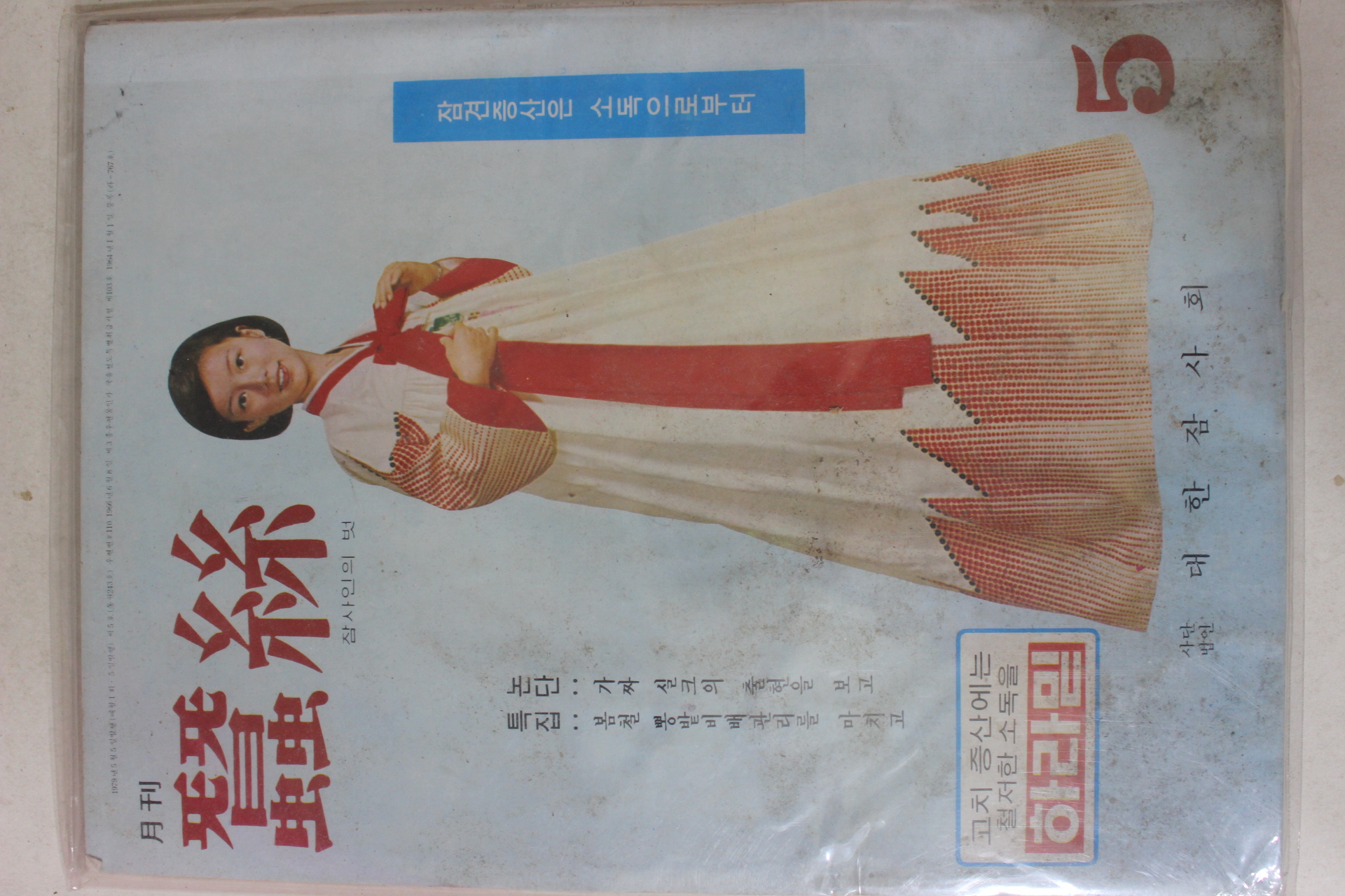 1979년 월간 잠사 5월호