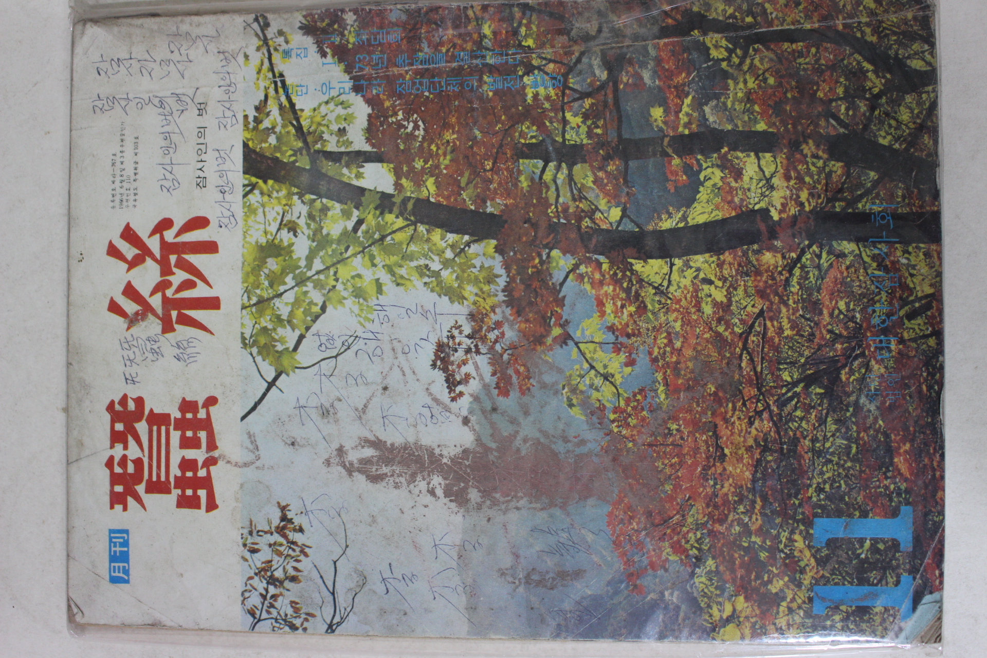 1973년 월간 잠사 11월호