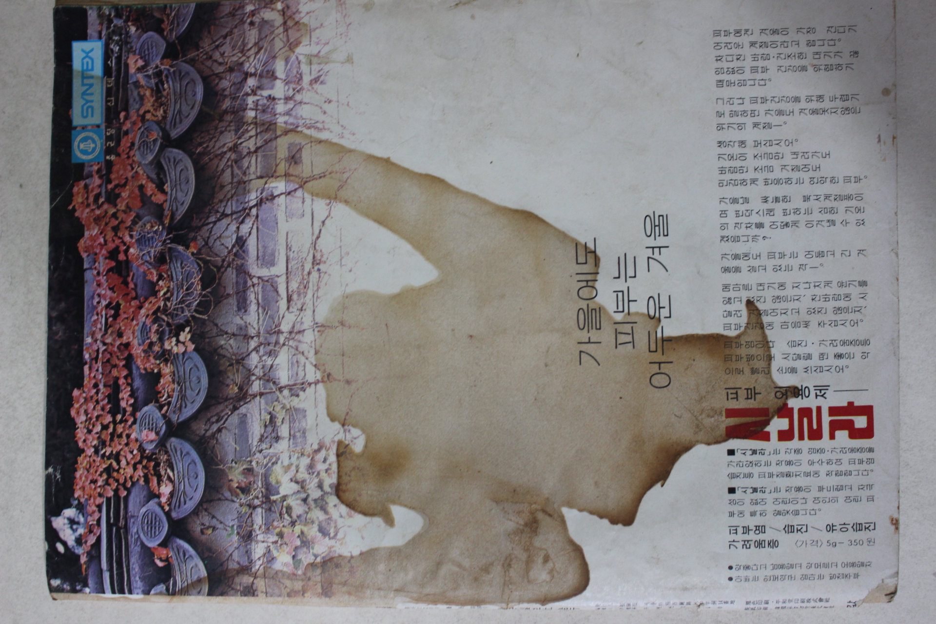 1975년 주간여성 10월12일호