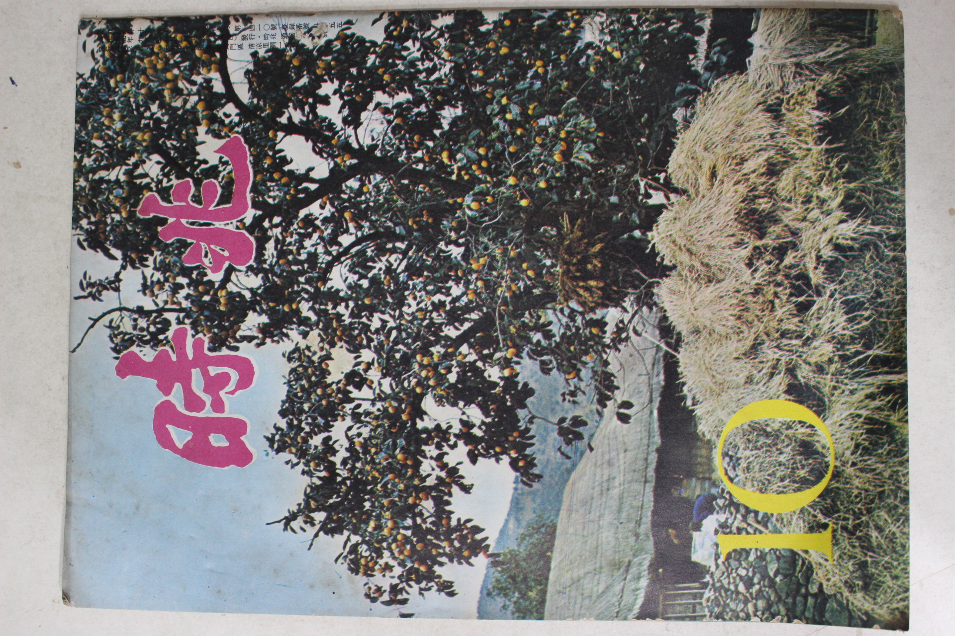 1975년 월간 시조 10월호