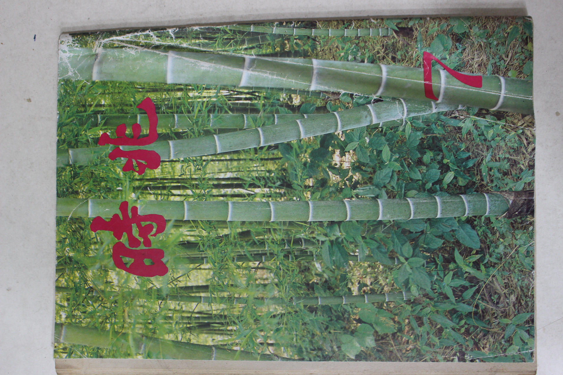 1981년 월간 시조 7월호