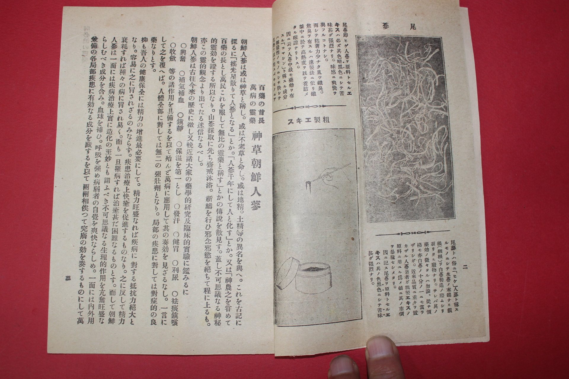 1920년(대정9년)가정약보 이왕가 조선인삼