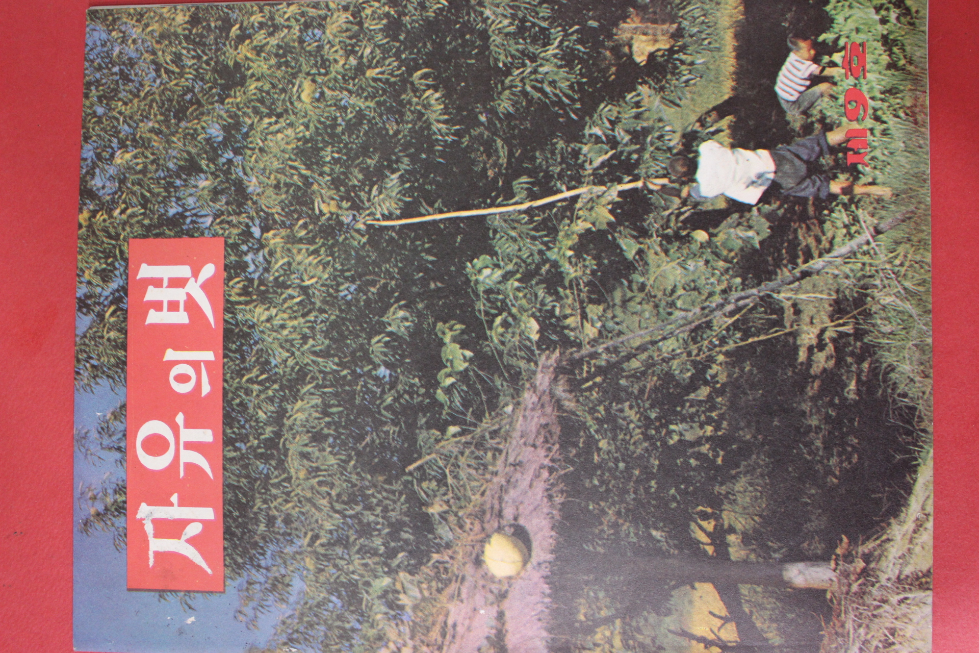 1962년 자유의 벗 제9호