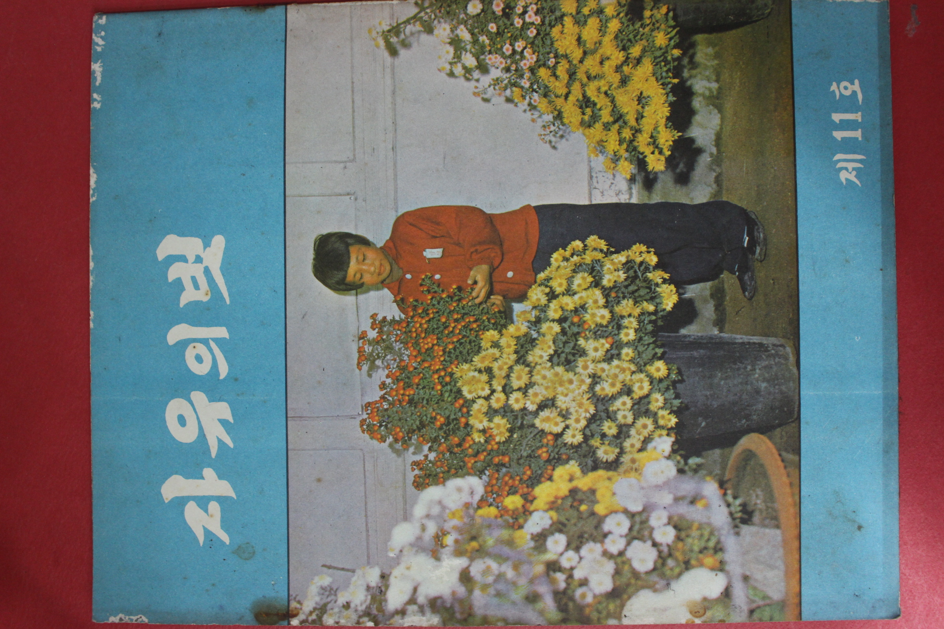 1961년 자유의 벗 제11호