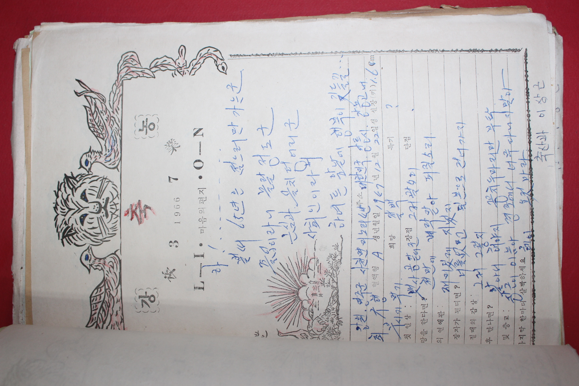 1966년 50여장의 졸업기념글 강농
