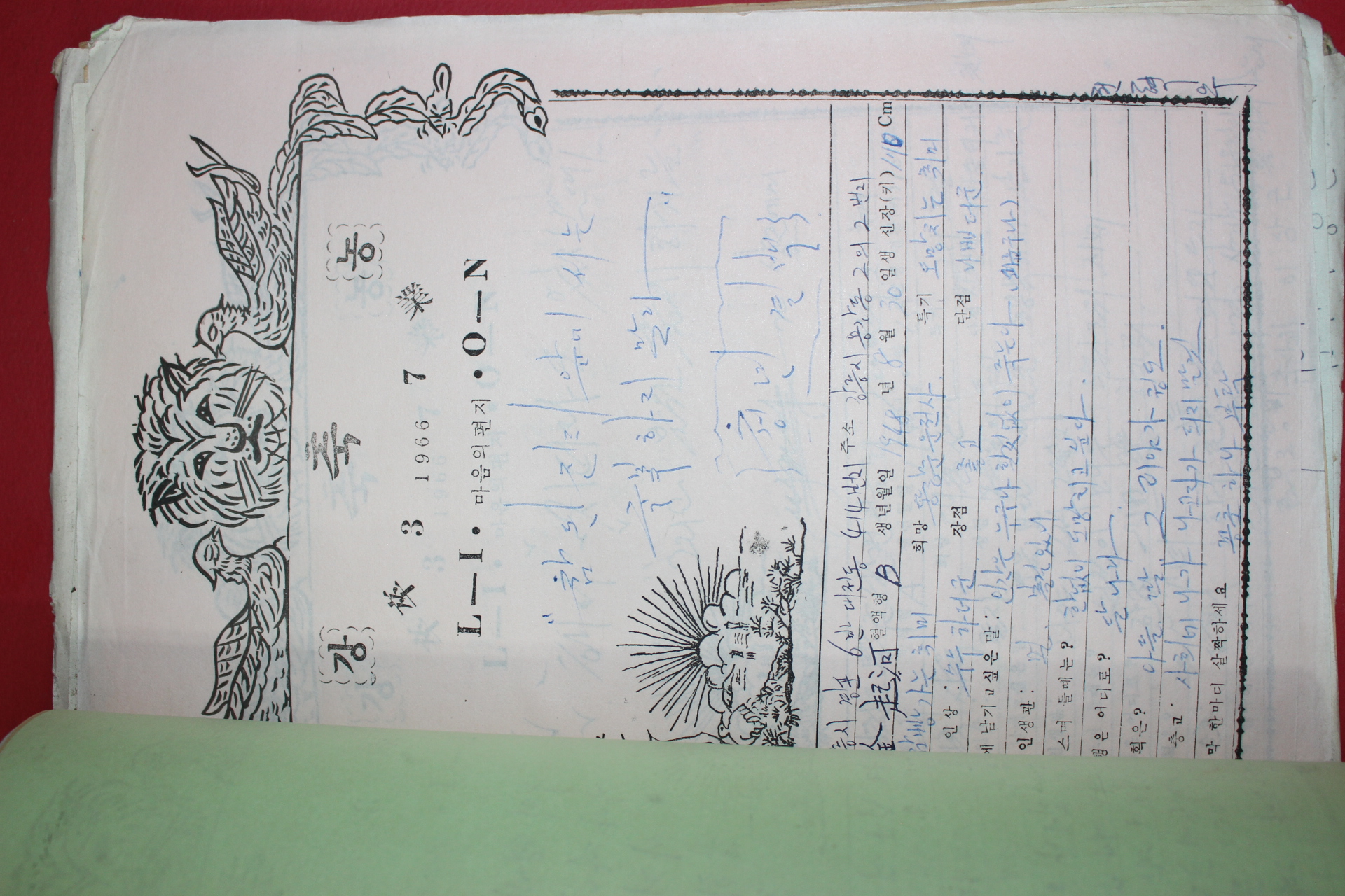 1966년 50여장의 졸업기념글 강농