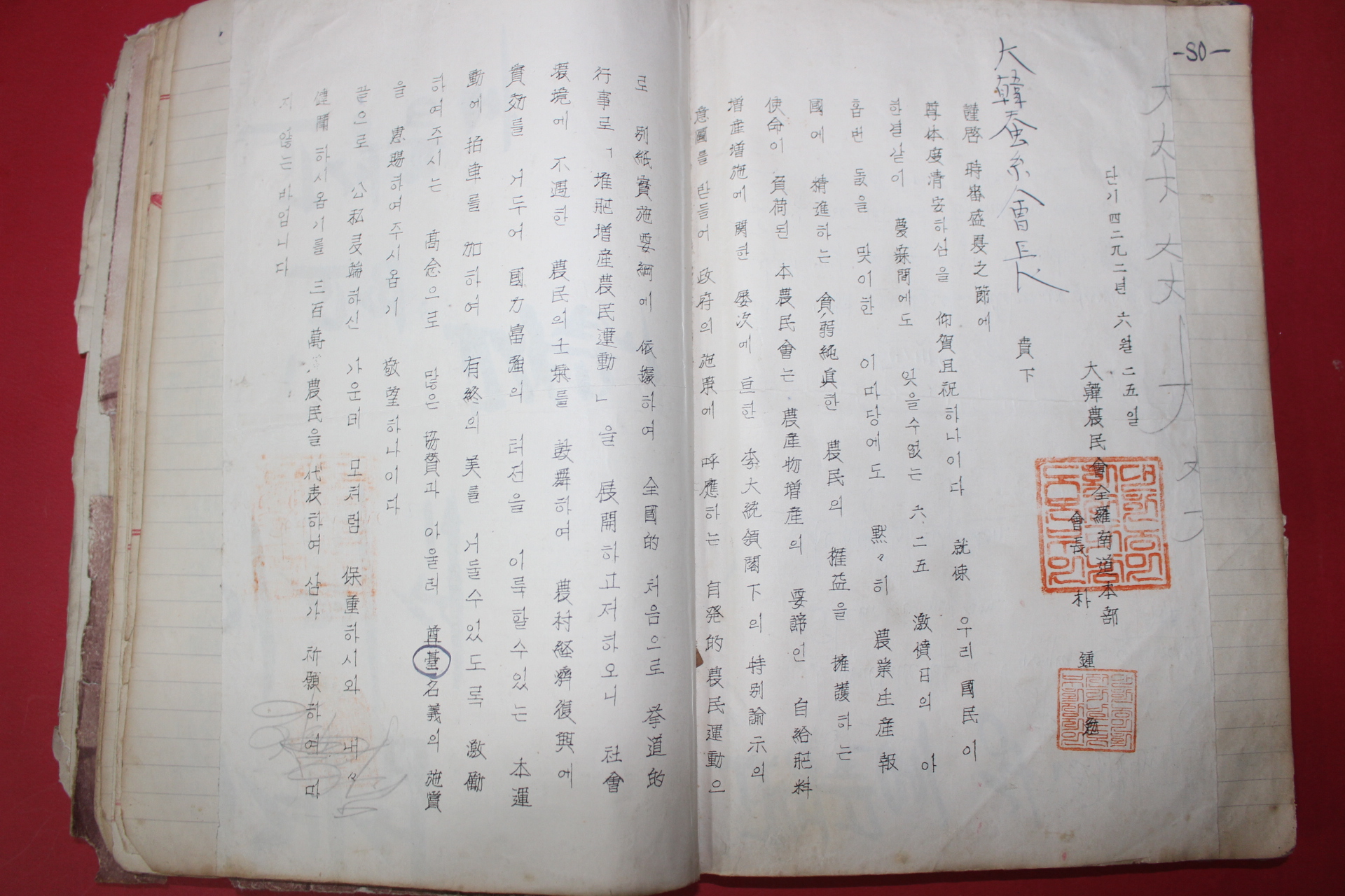 1960년 김문룡(金文龍) 문예집 스크랩북